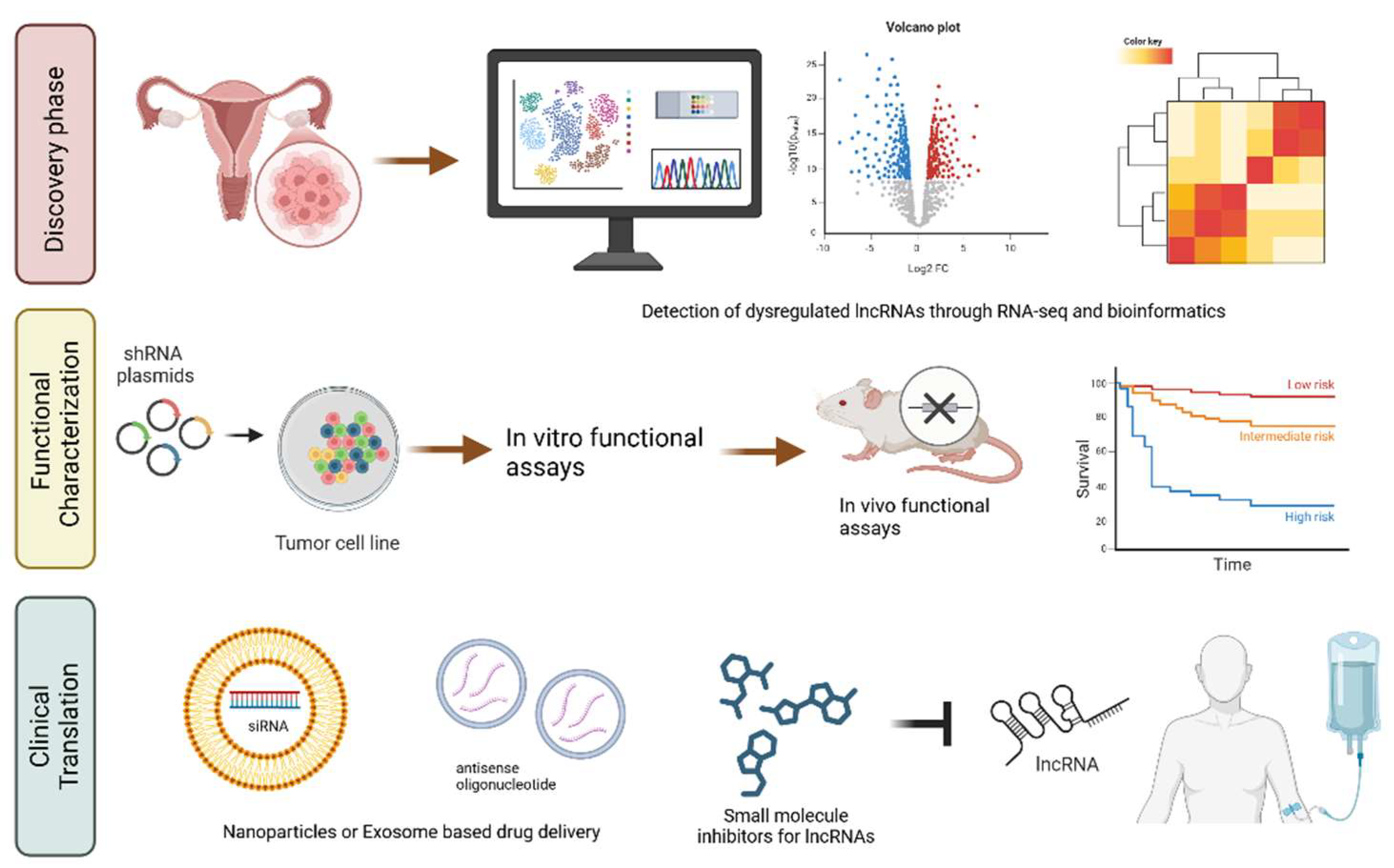 Preprints 144613 g005