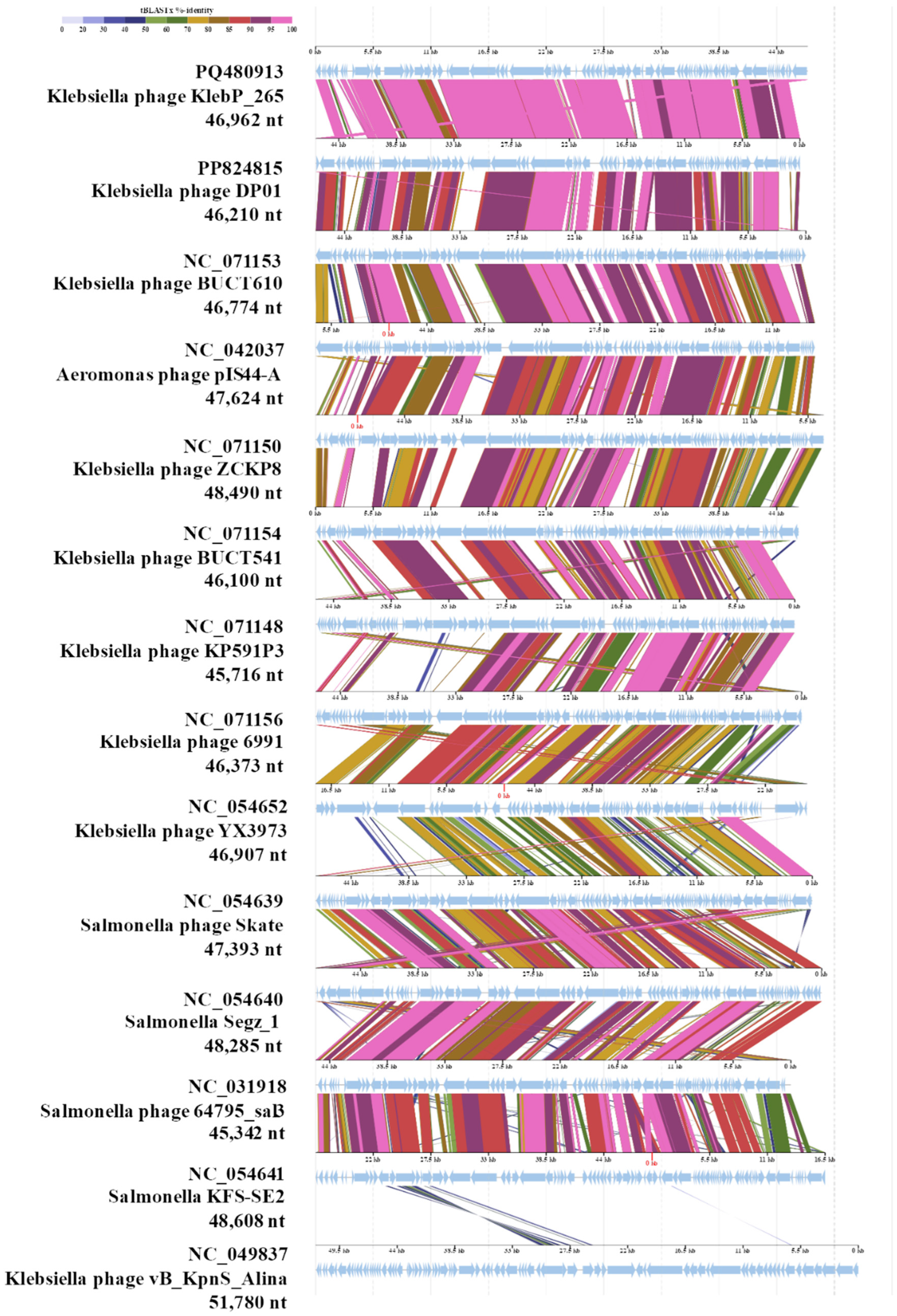 Preprints 143109 g006