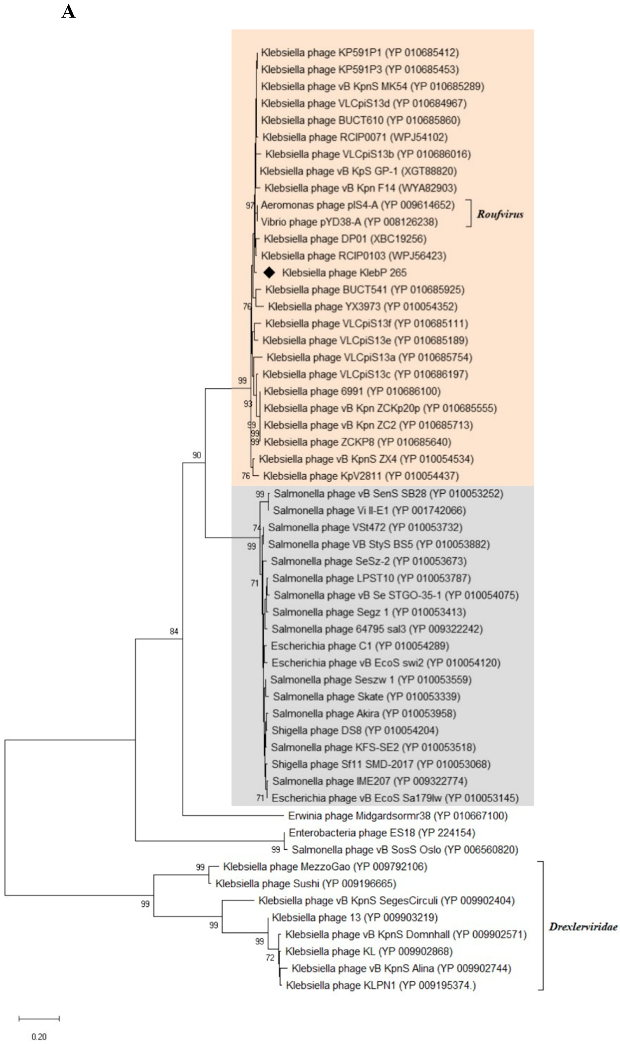 Preprints 143109 g008a