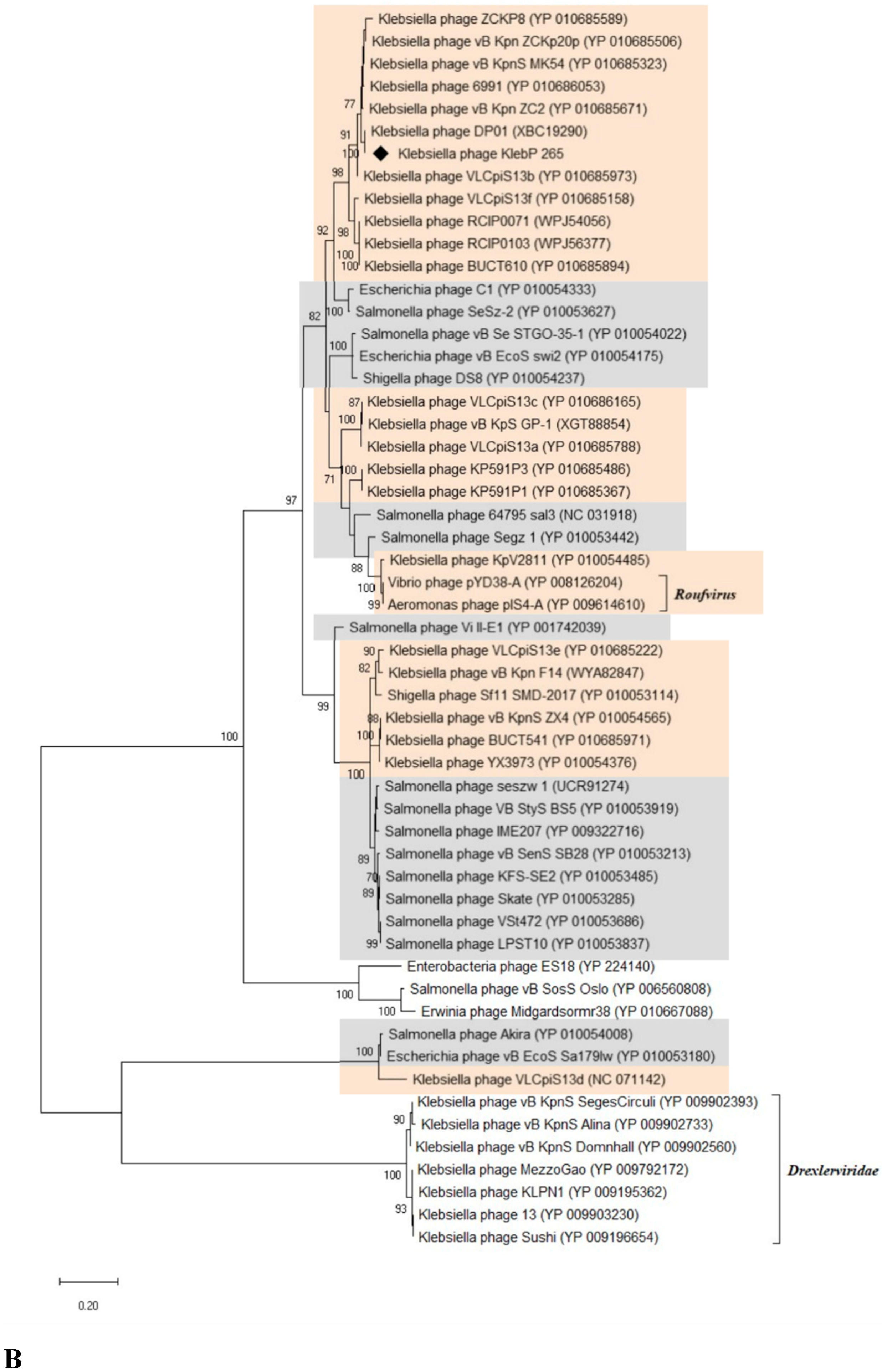 Preprints 143109 g008b