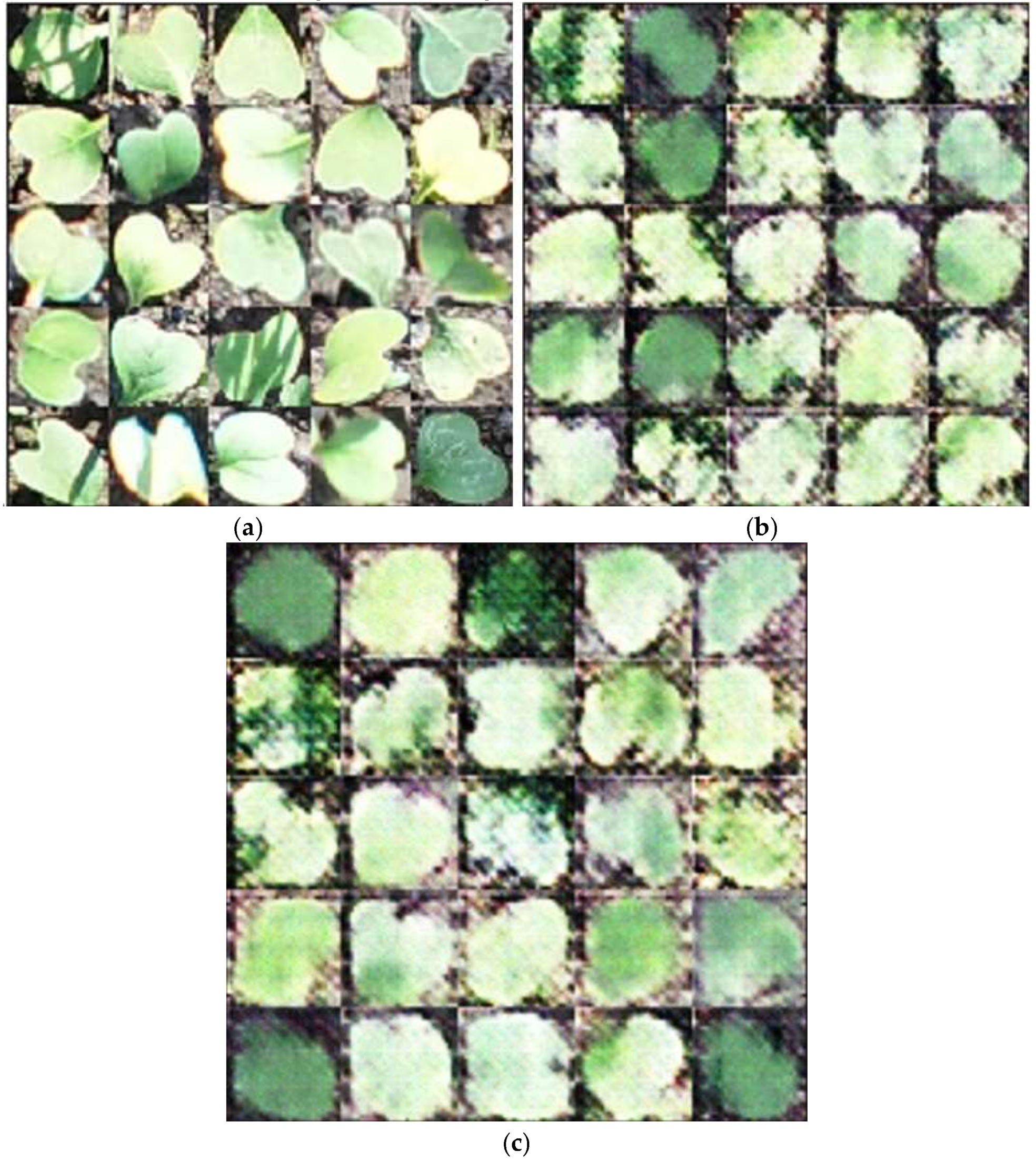 Preprints 146531 g003