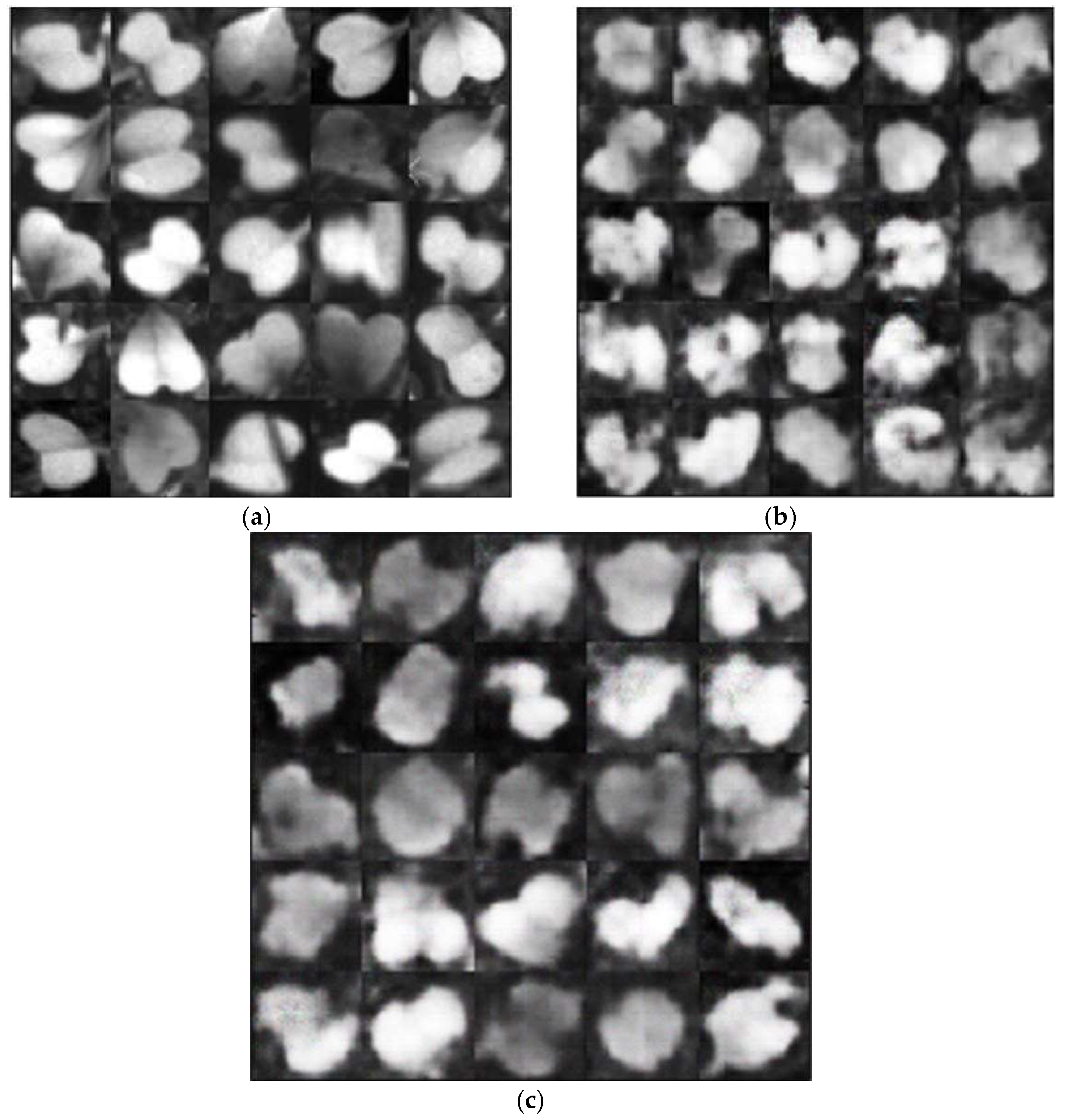 Preprints 146531 g004