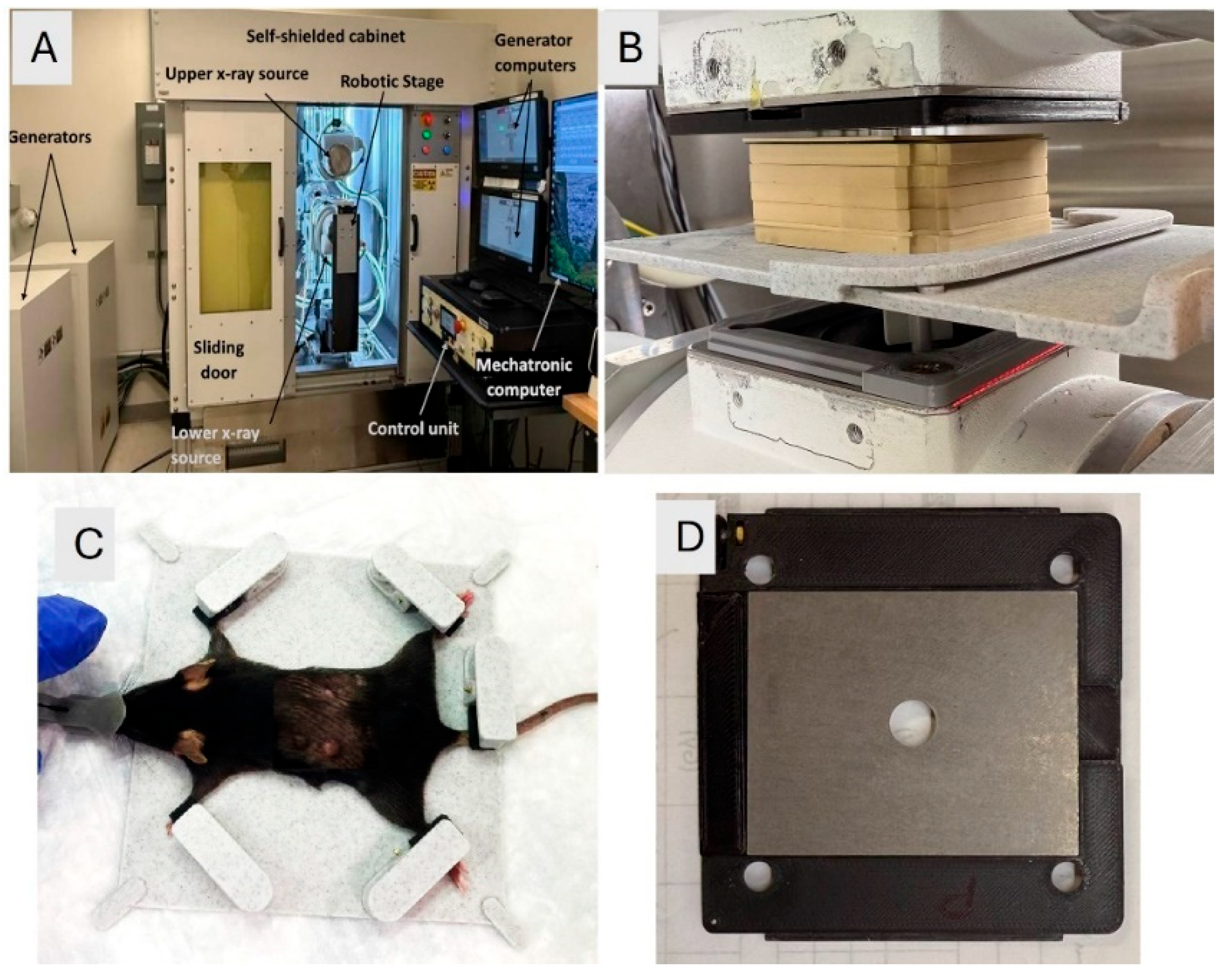 Preprints 175883 g001