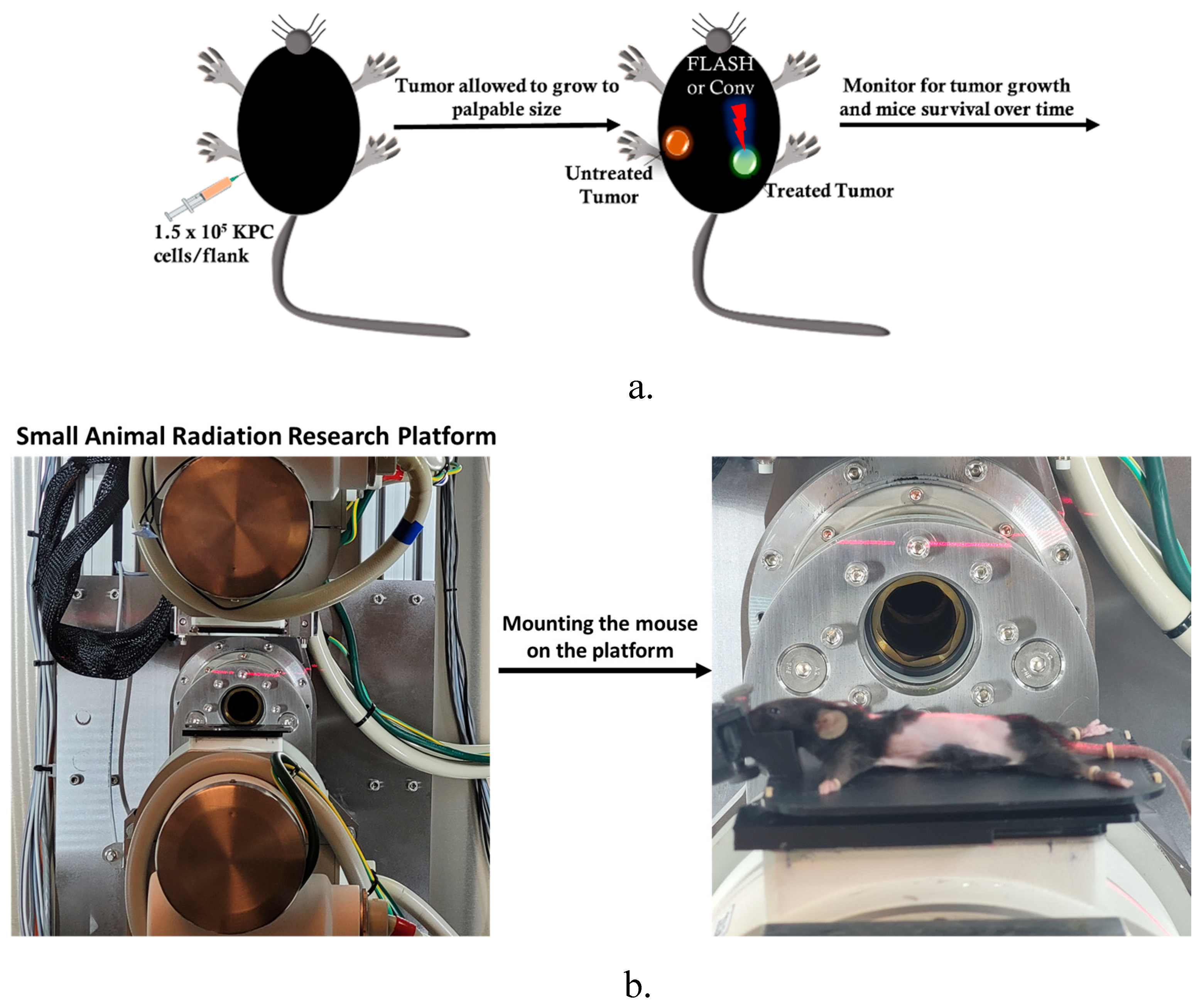 Preprints 175883 g002