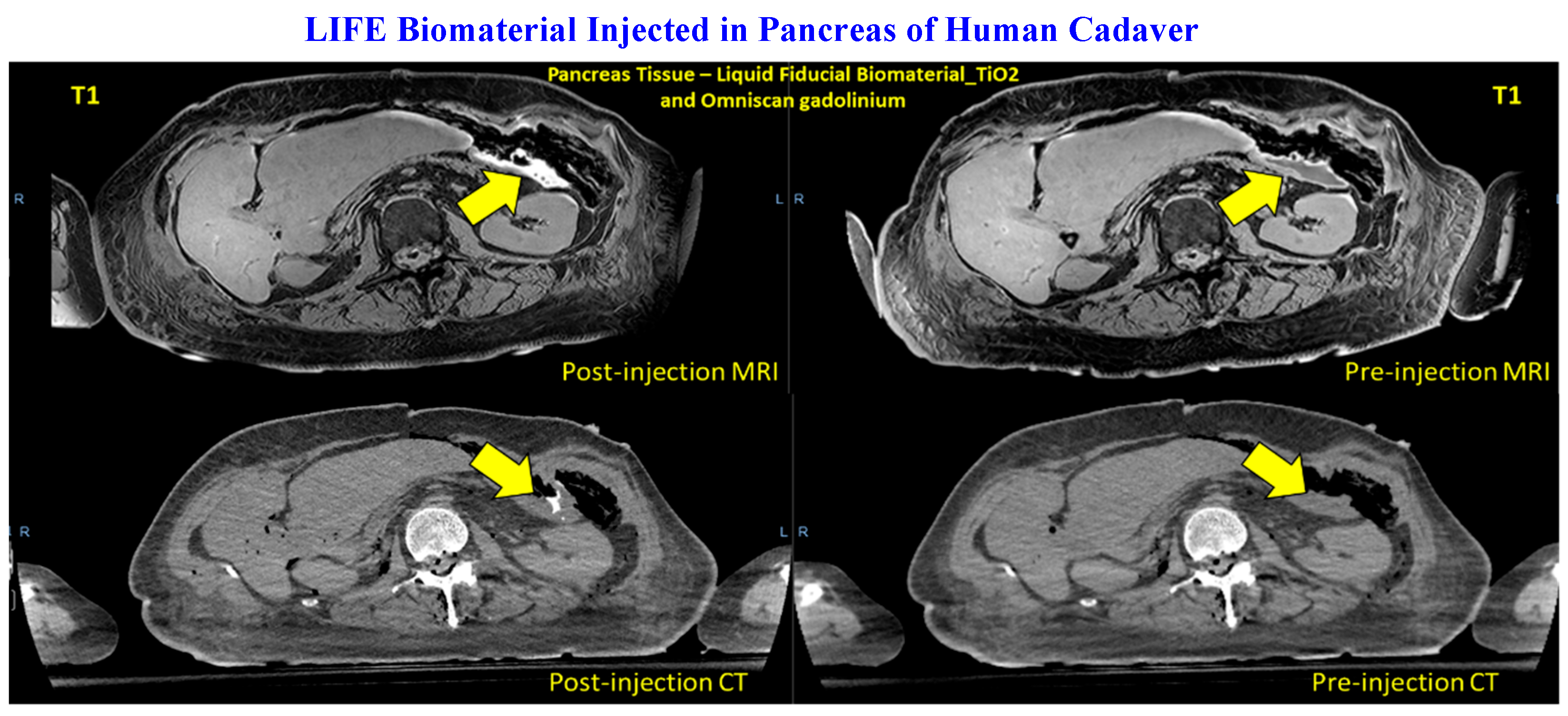 Preprints 175883 g003