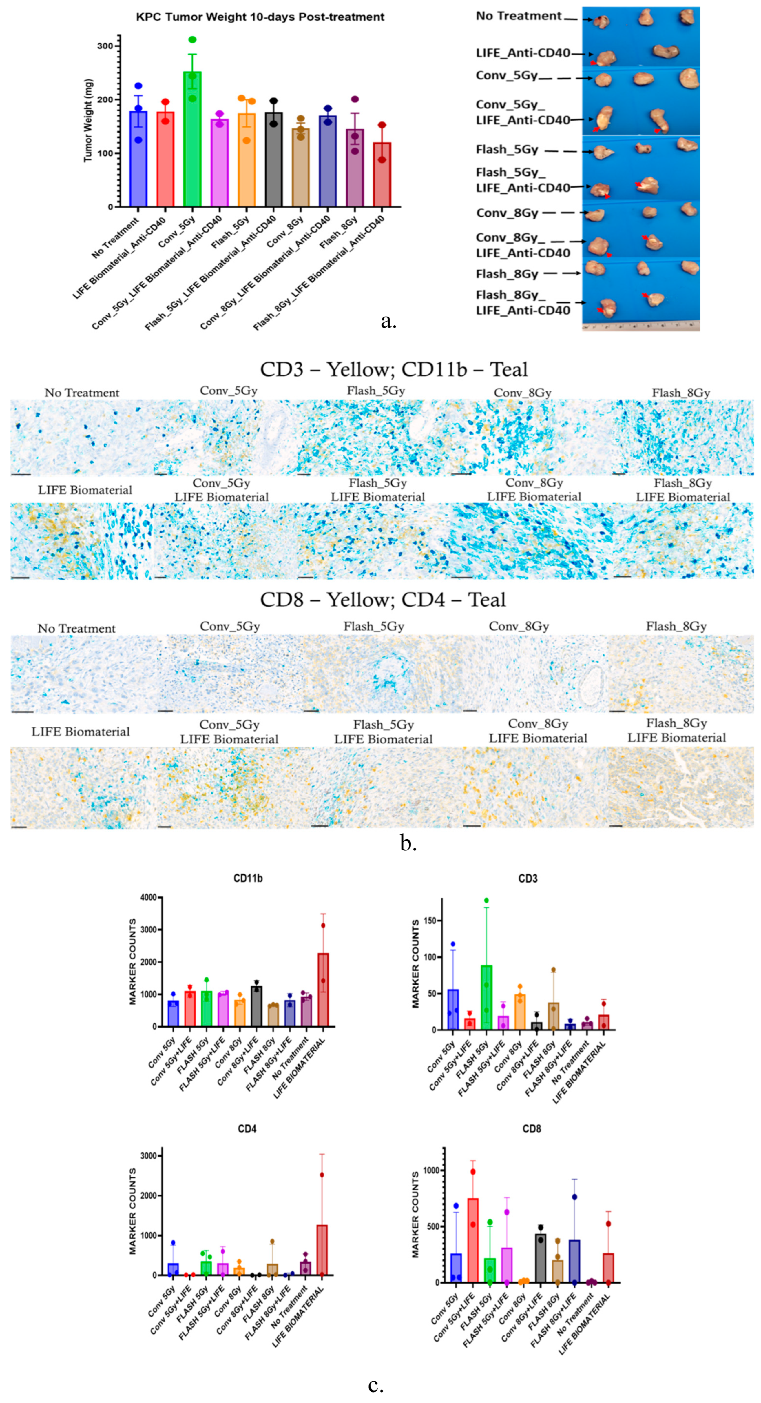 Preprints 175883 g006
