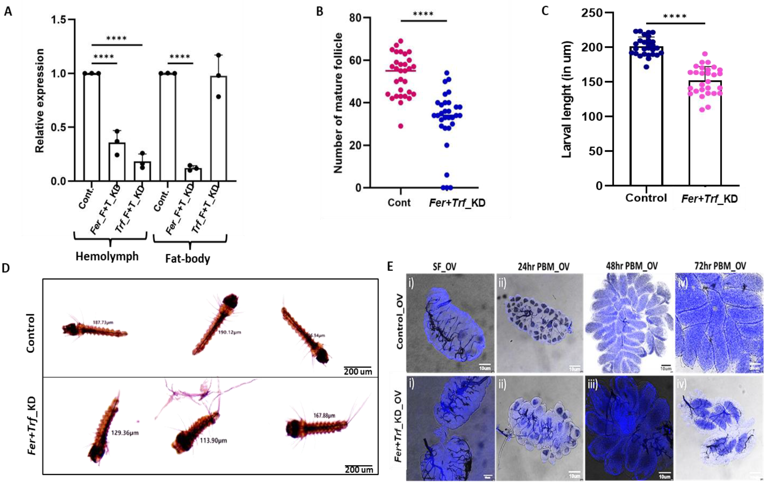 Preprints 197139 g004