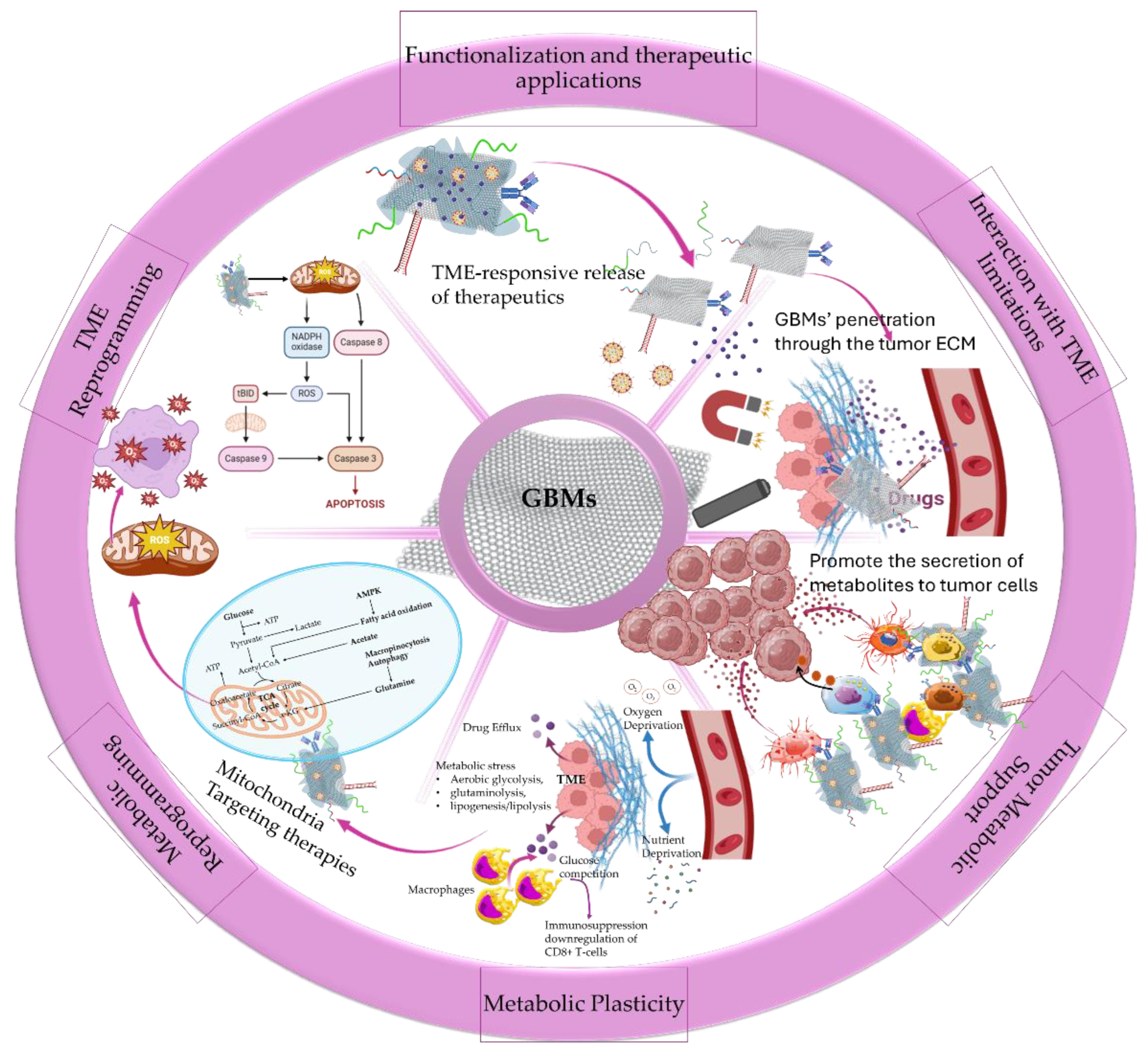 Preprints 154267 g001