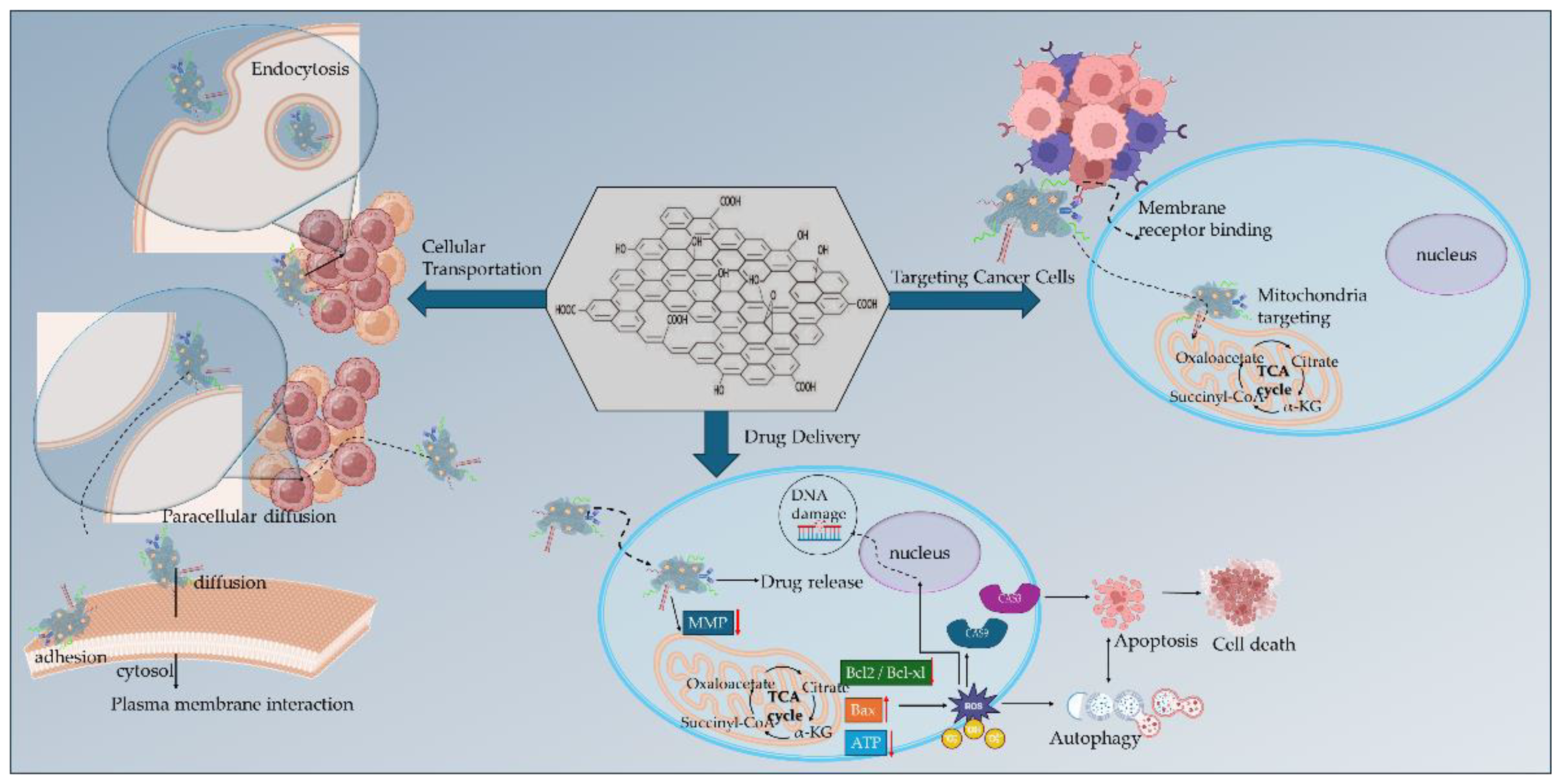 Preprints 154267 g004
