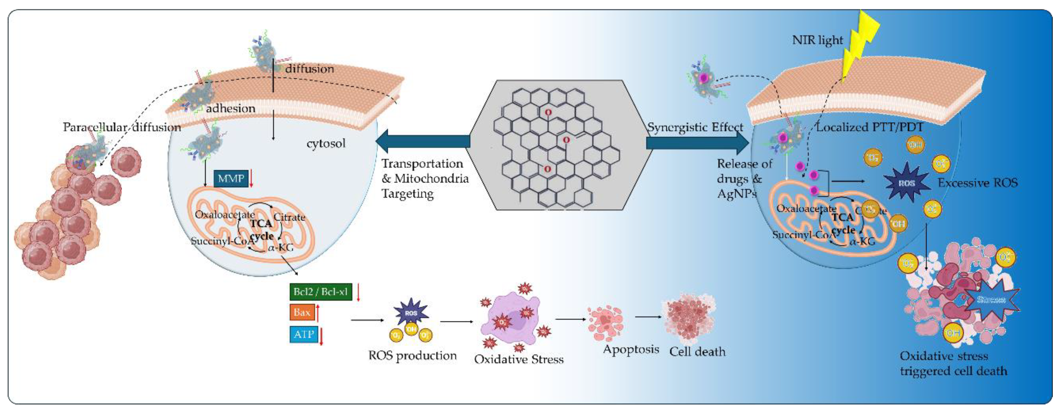 Preprints 154267 g005