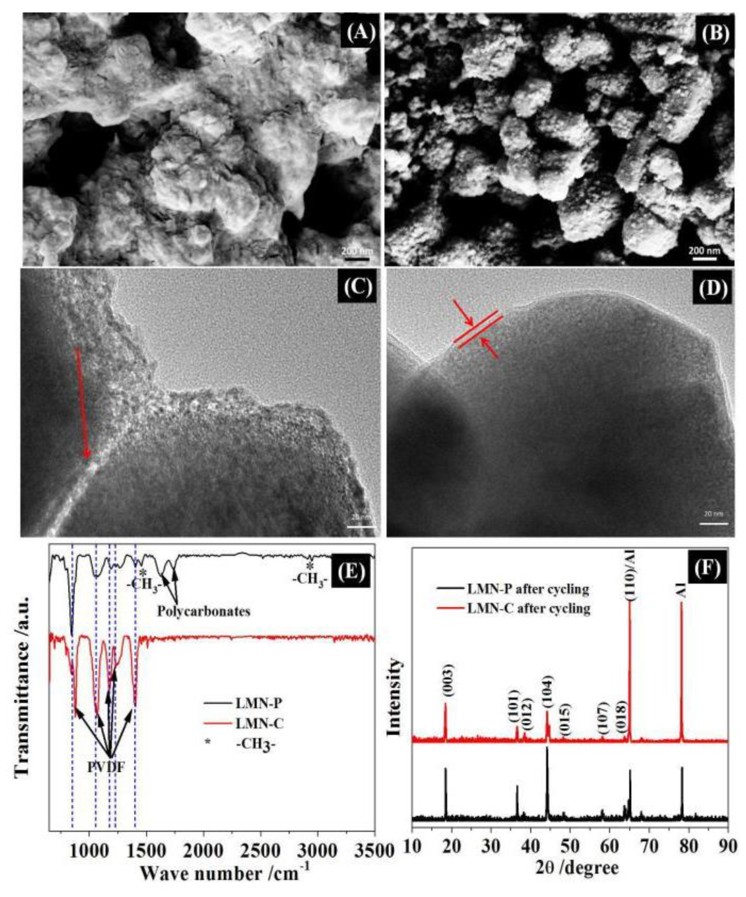 Preprints 70981 g006