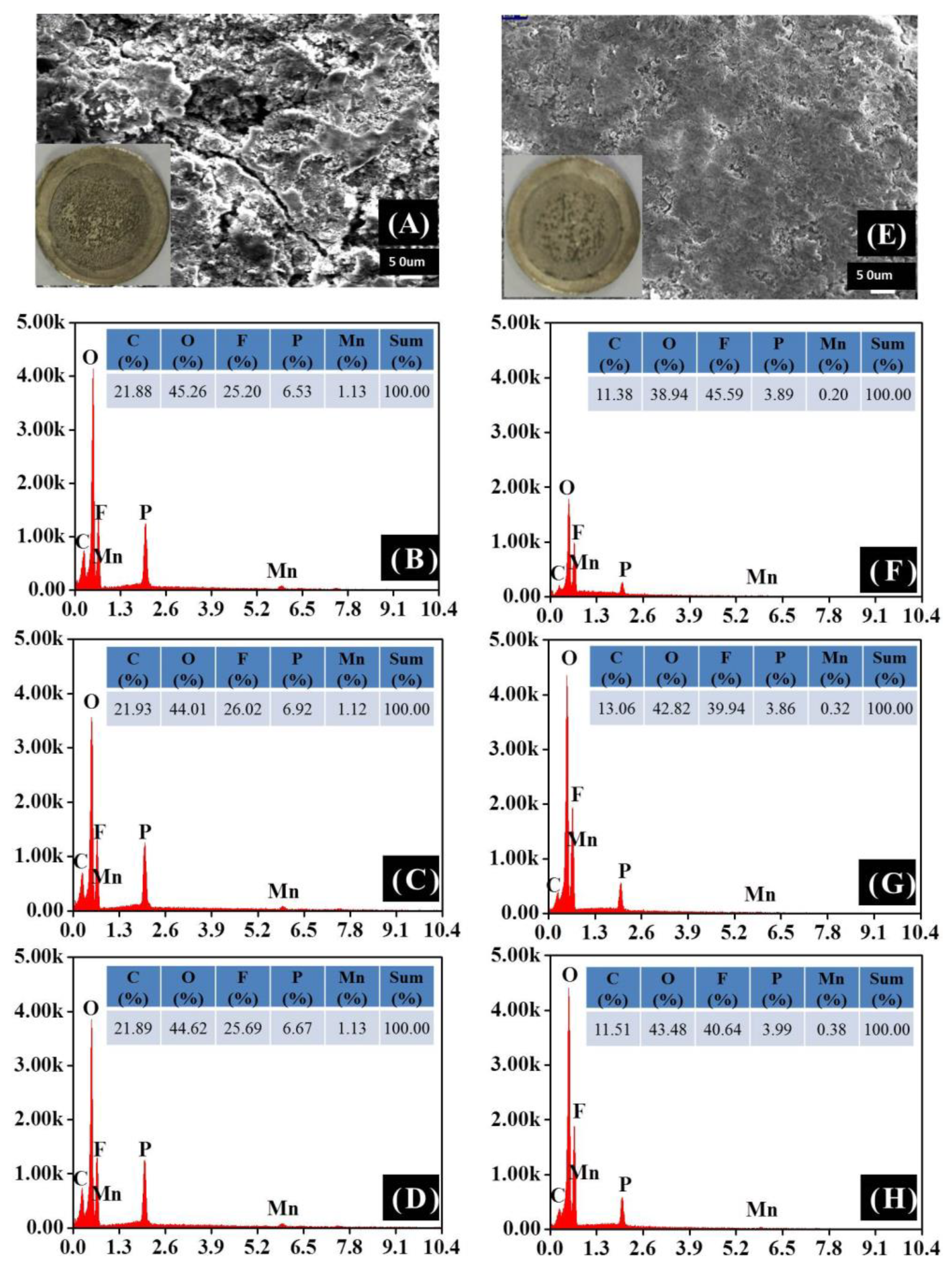Preprints 70981 g007