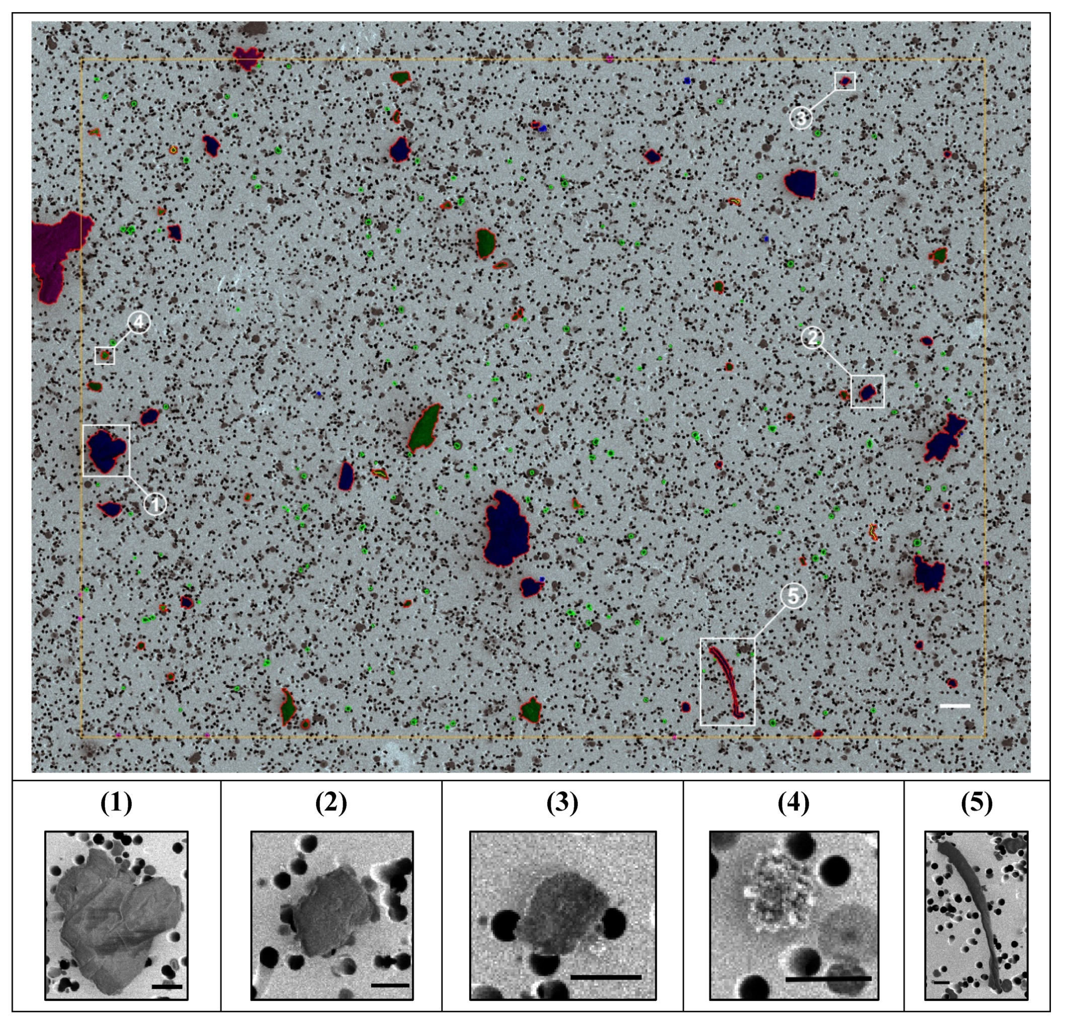 Preprints 180299 g001