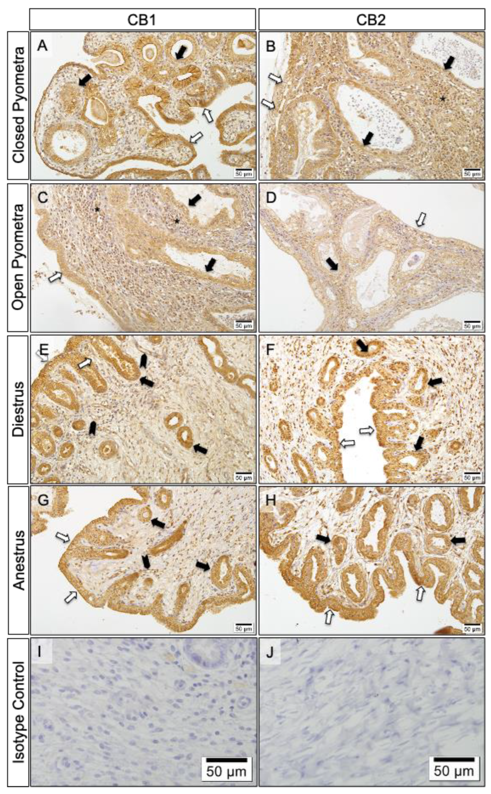 Preprints 175777 g005