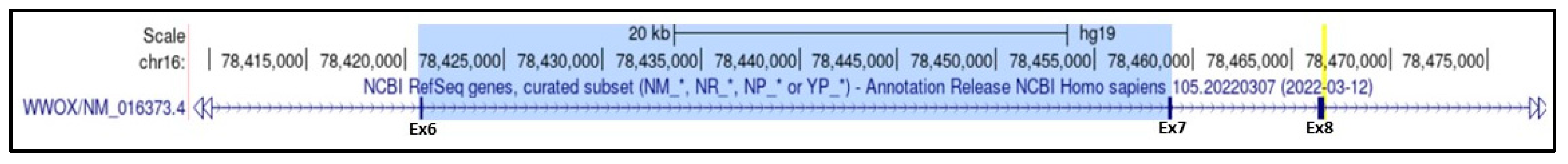 Preprints 203413 g001