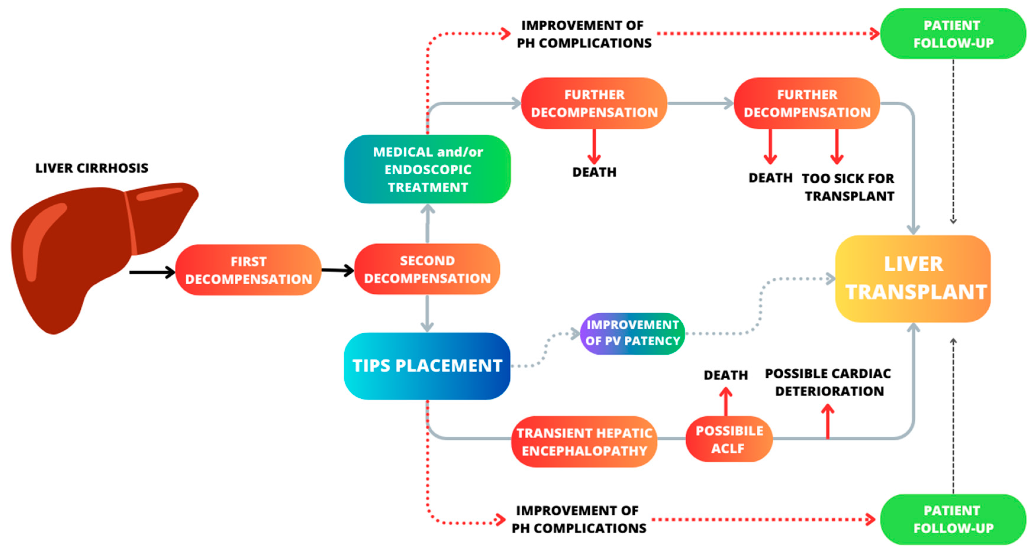 Preprints 87665 g001