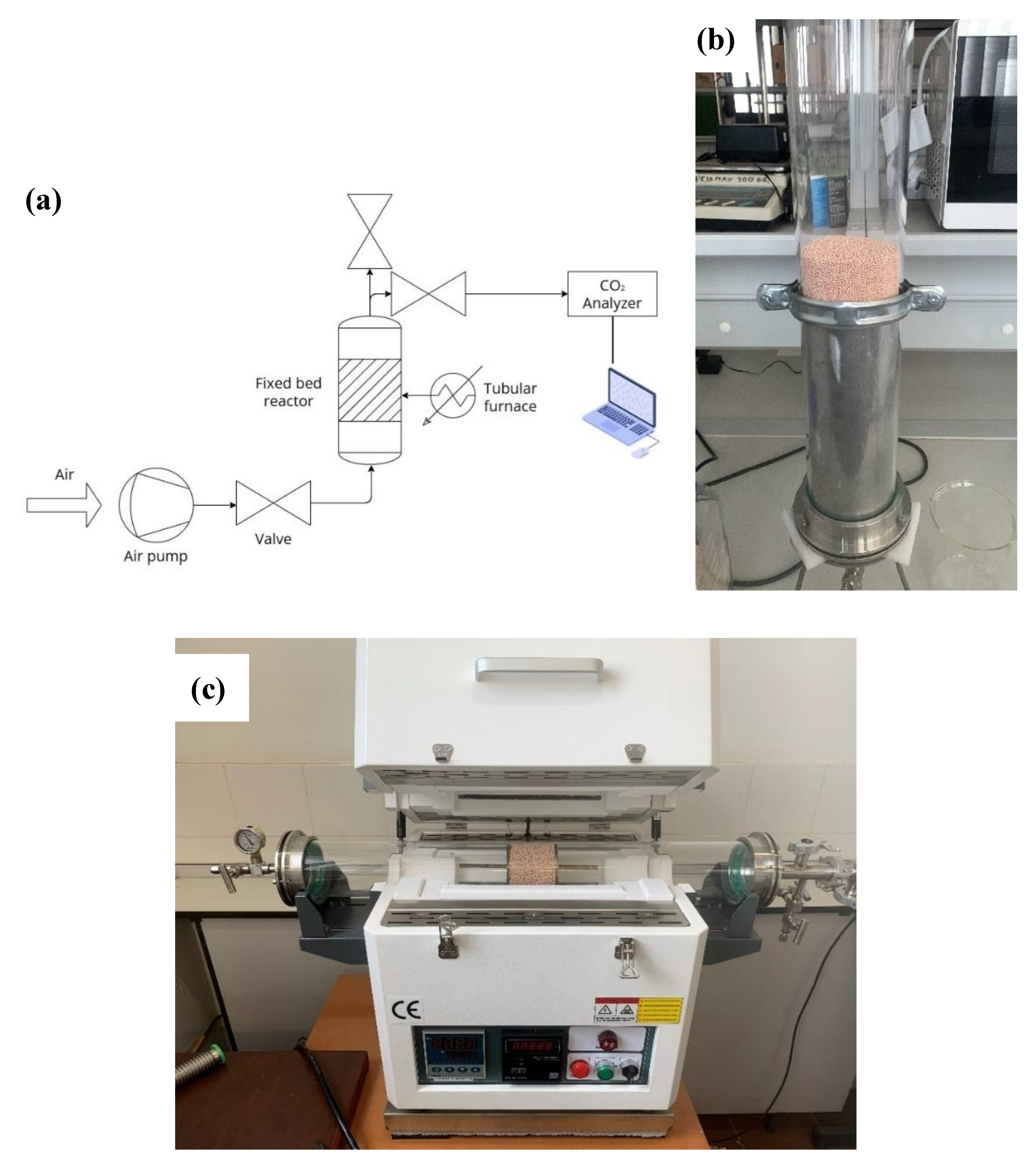 Preprints 198101 g001