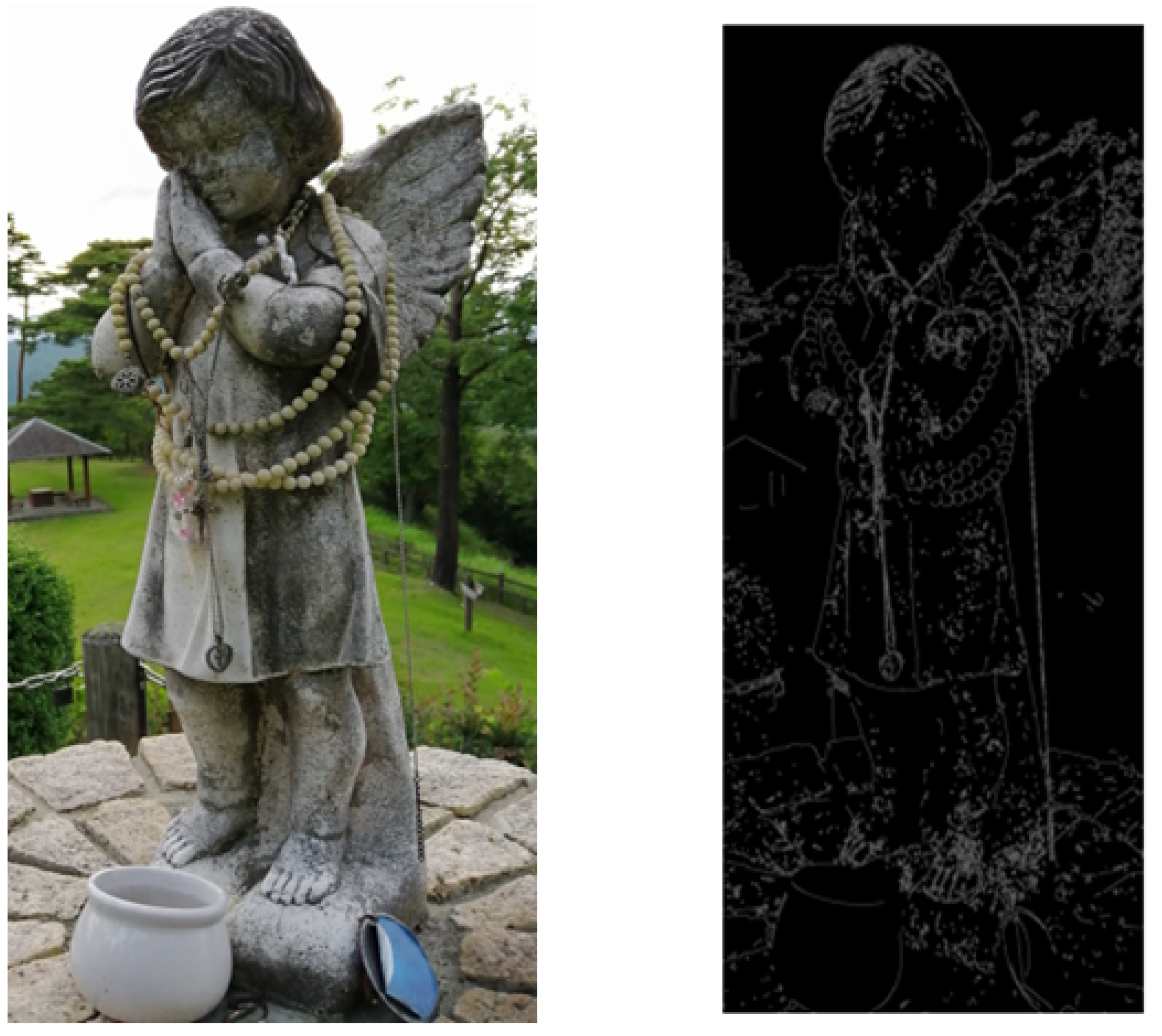 Preprints 162646 g002