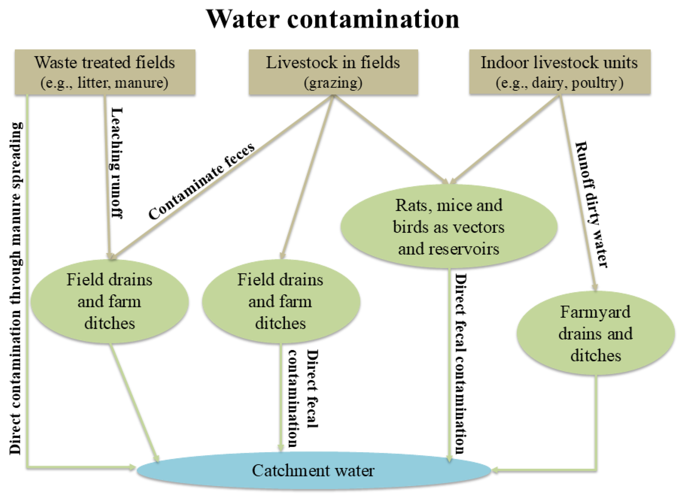 Preprints 167719 g005