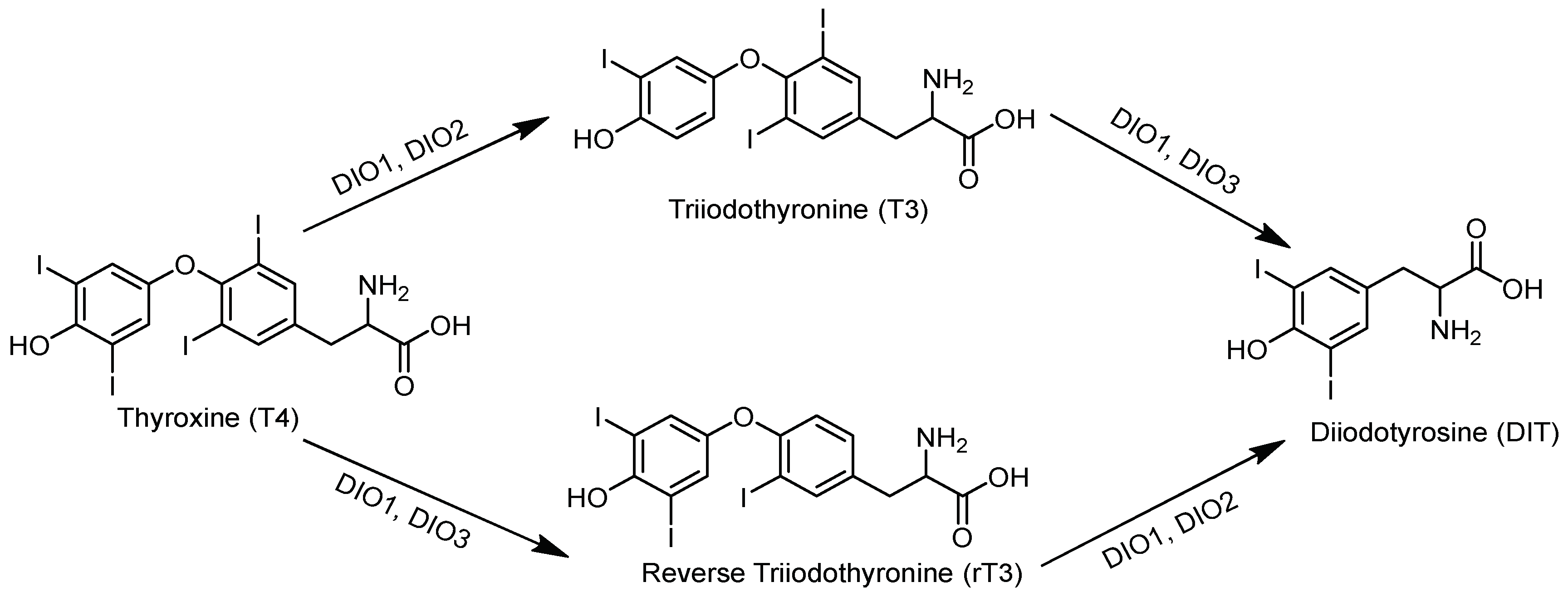 Preprints 138516 g009