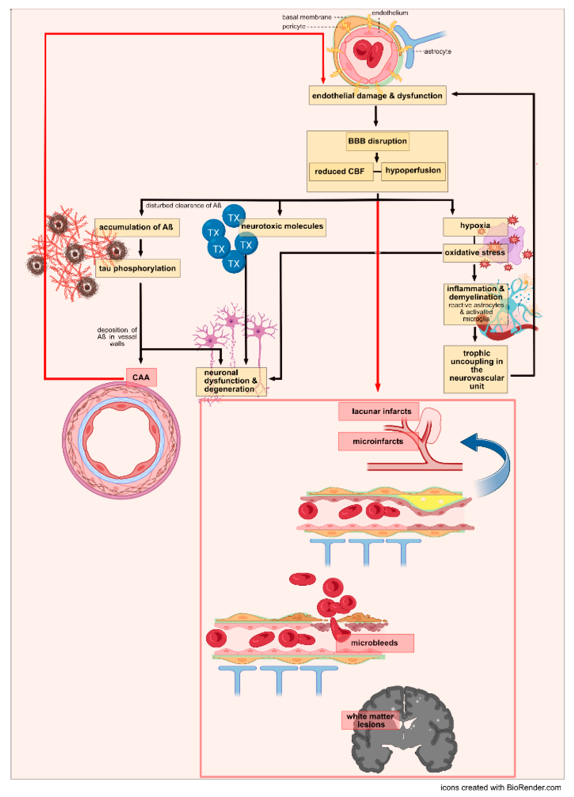 Preprints 138984 g003