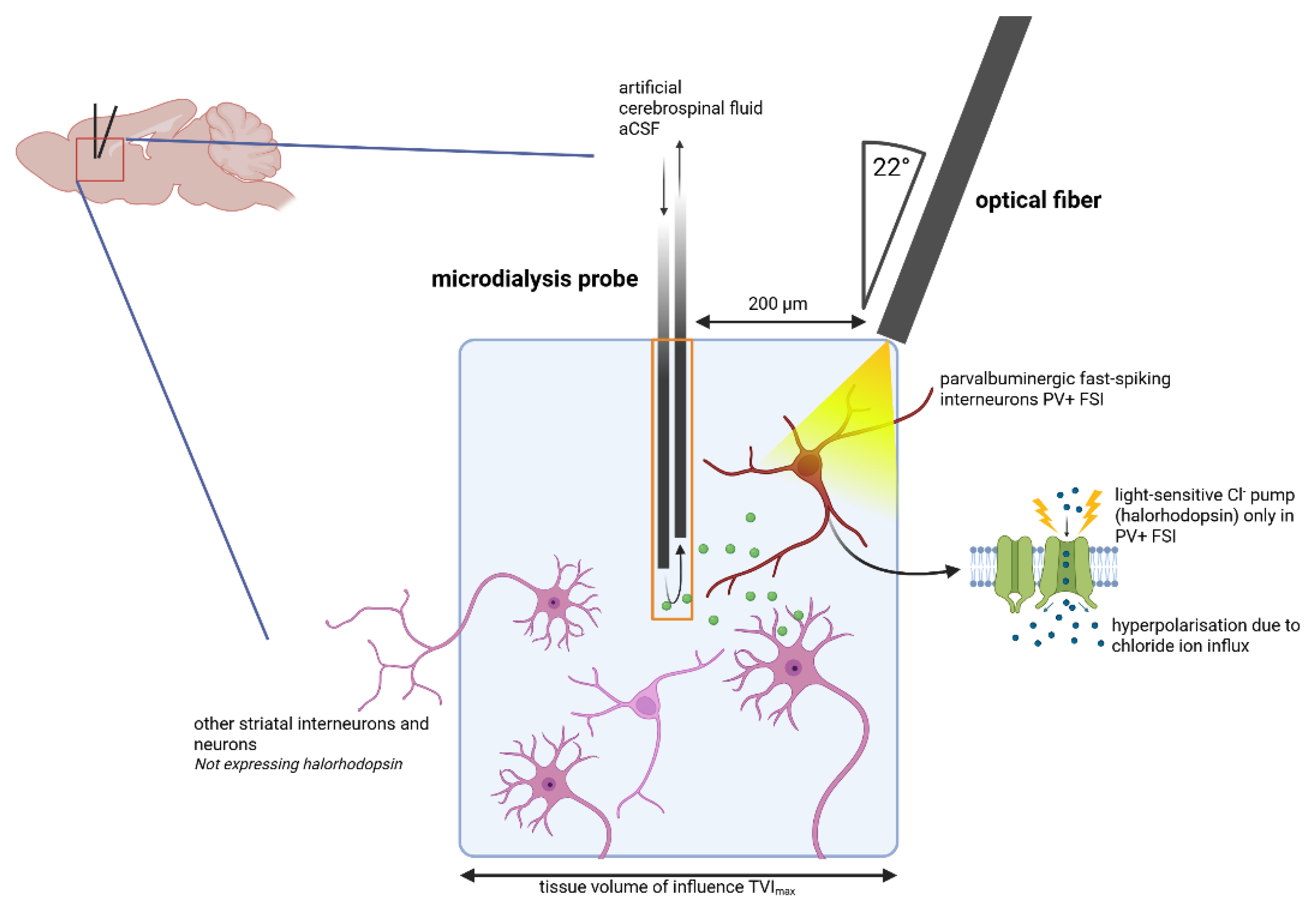 Preprints 208006 g007