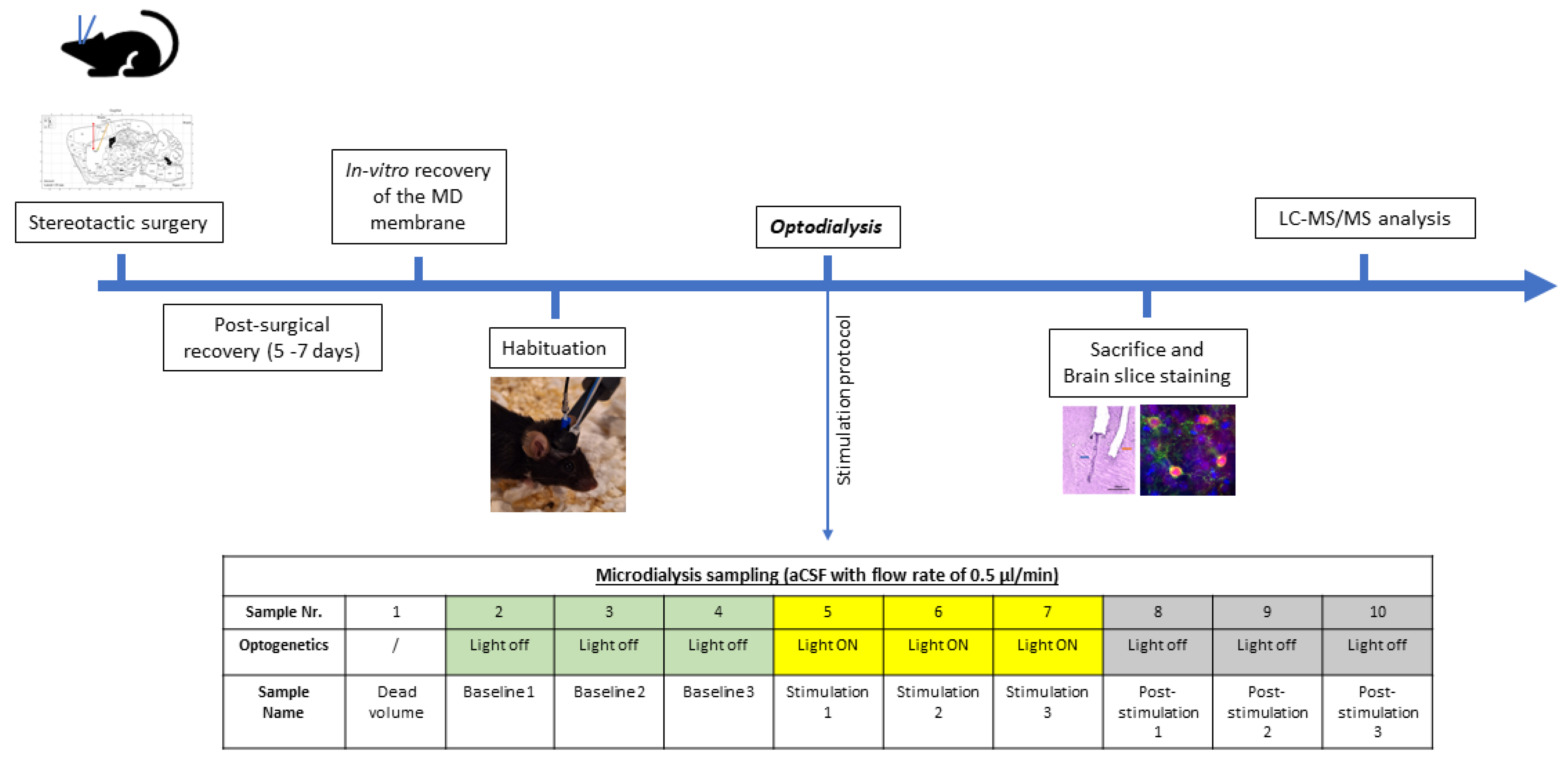 Preprints 208006 g008