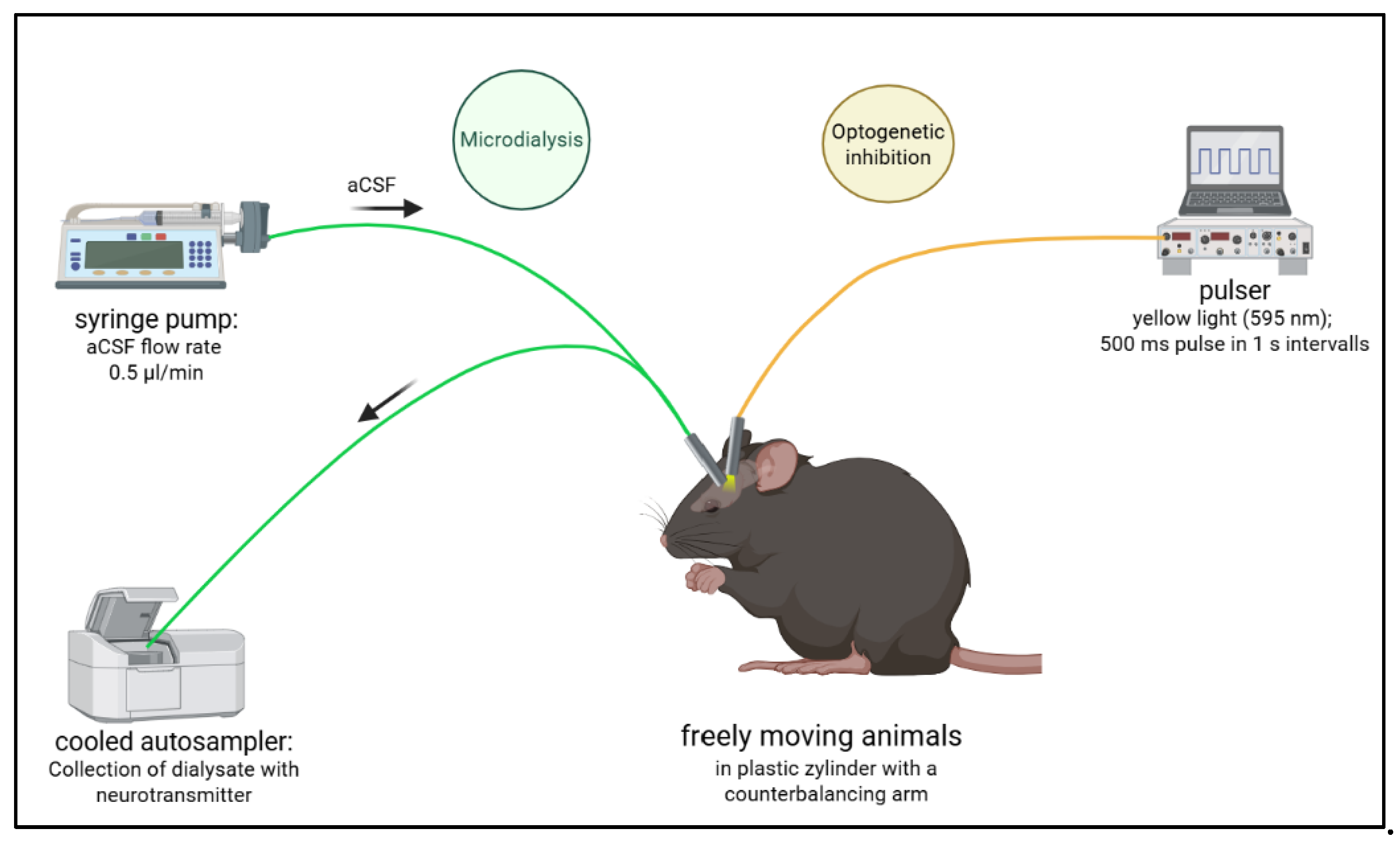 Preprints 208006 g009