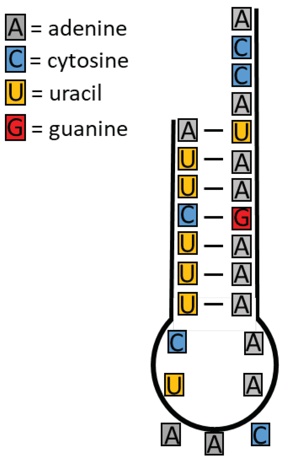 Preprints 67335 g001