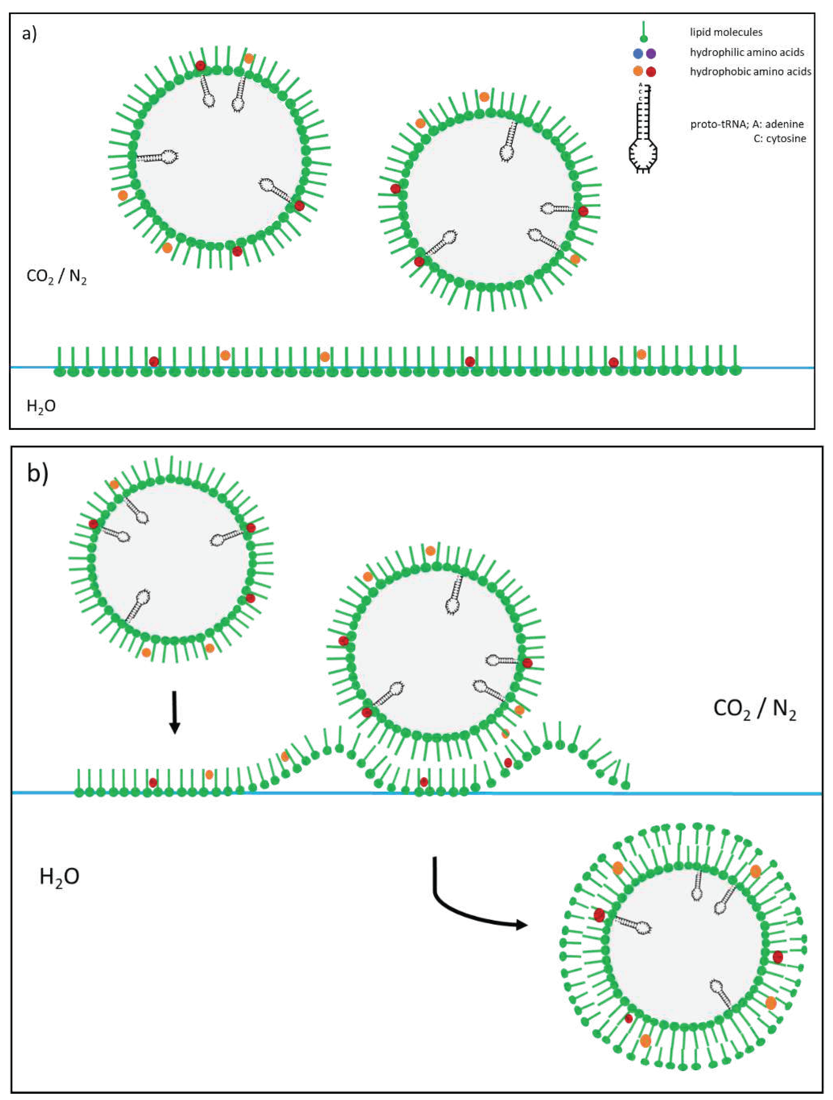 Preprints 67335 g002