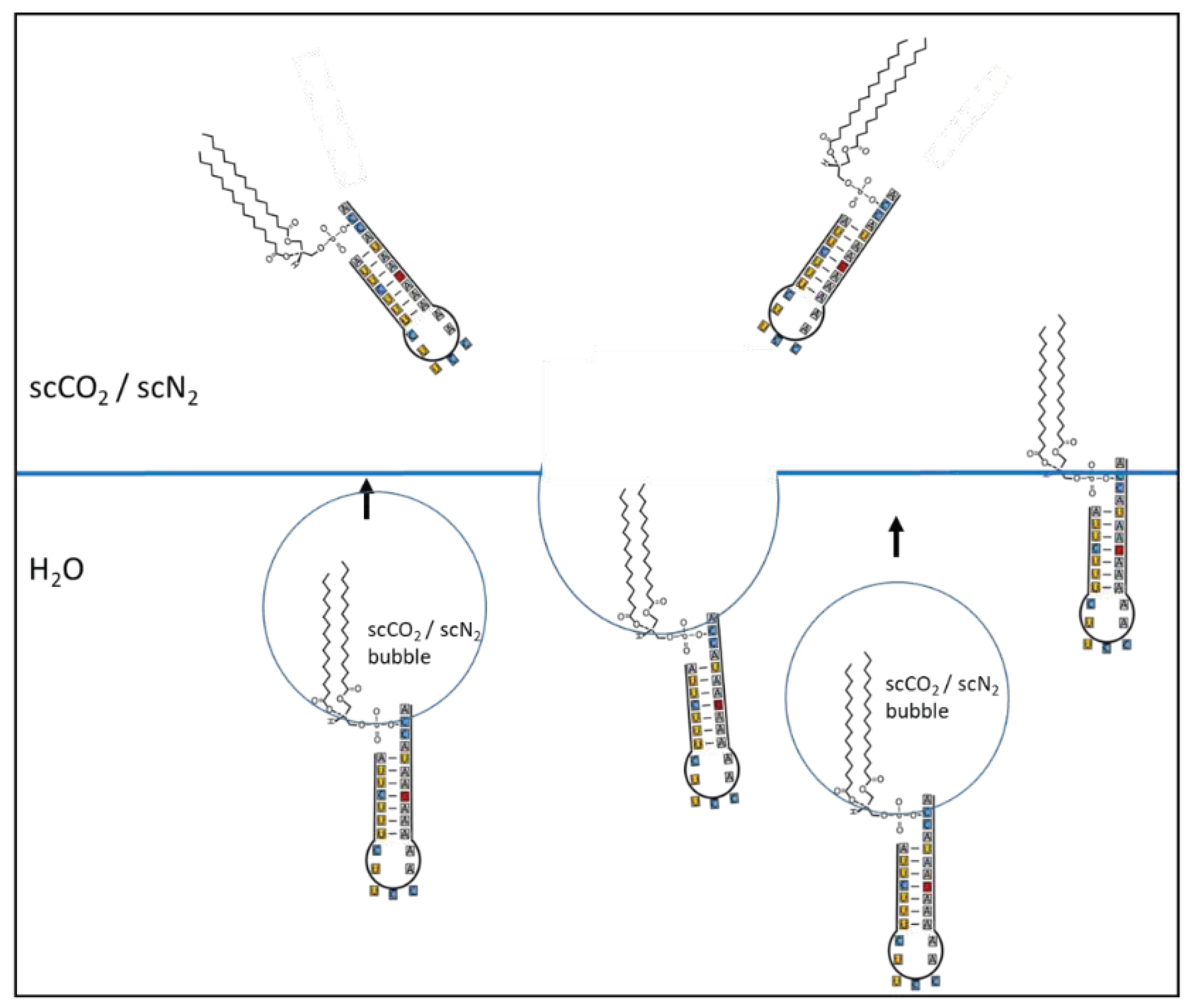 Preprints 67335 g003