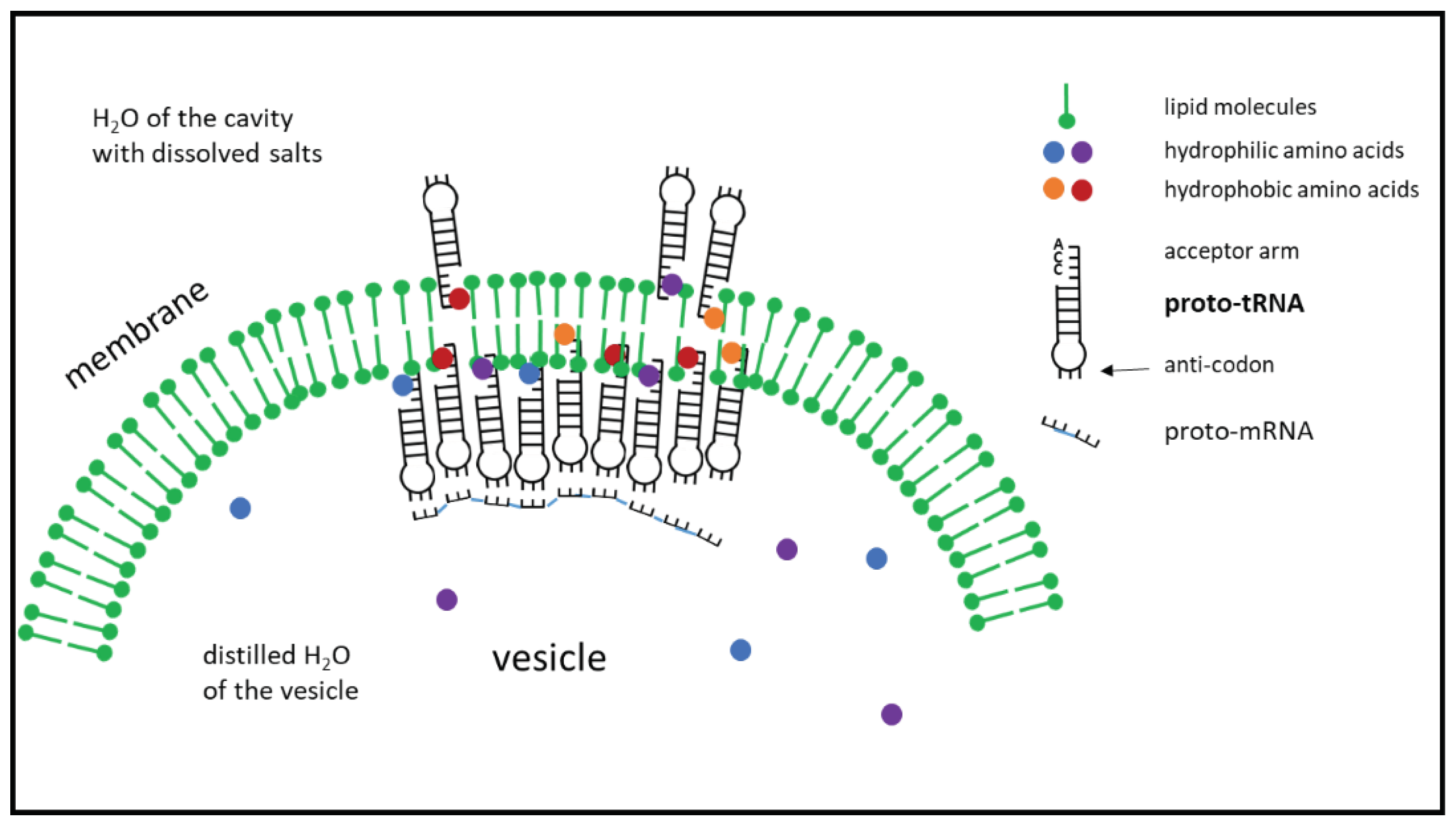 Preprints 67335 g004