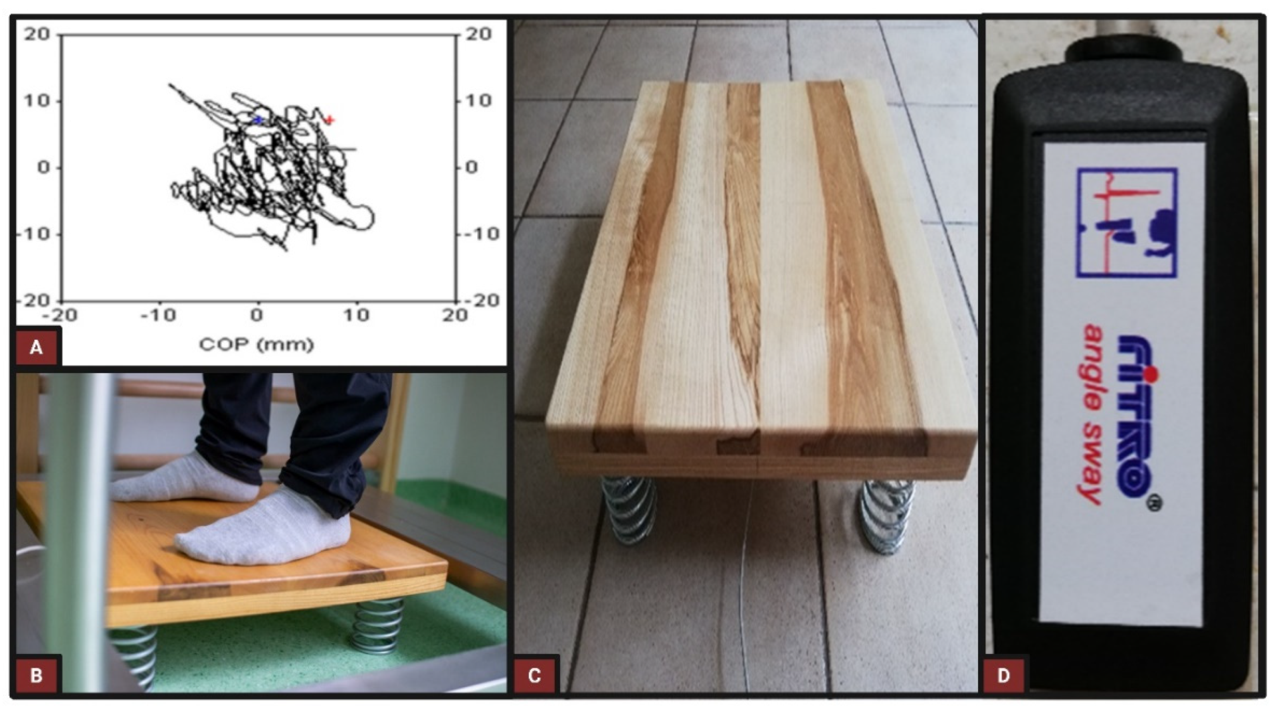 Preprints 193497 g001