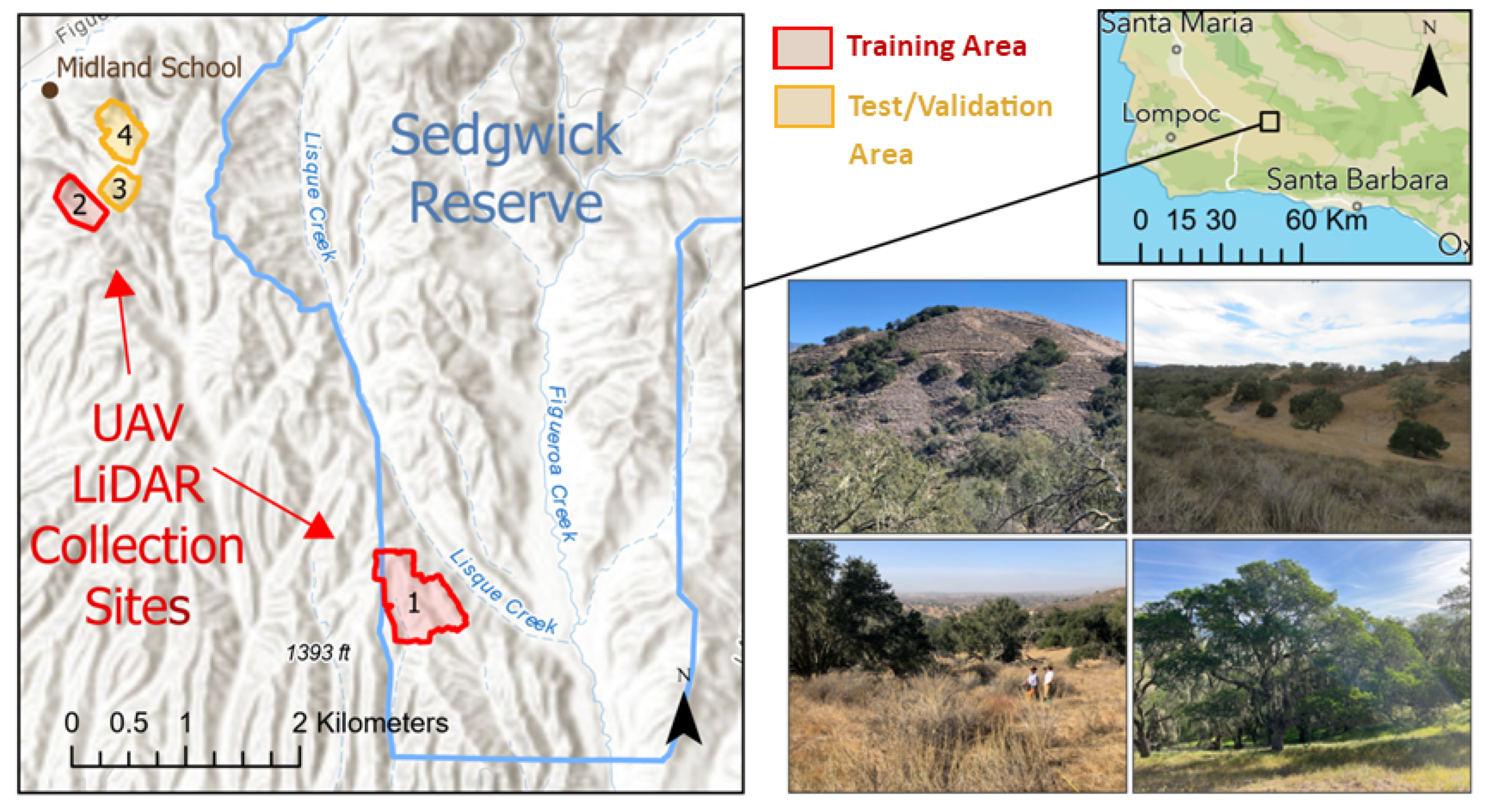 Preprints 163866 g003