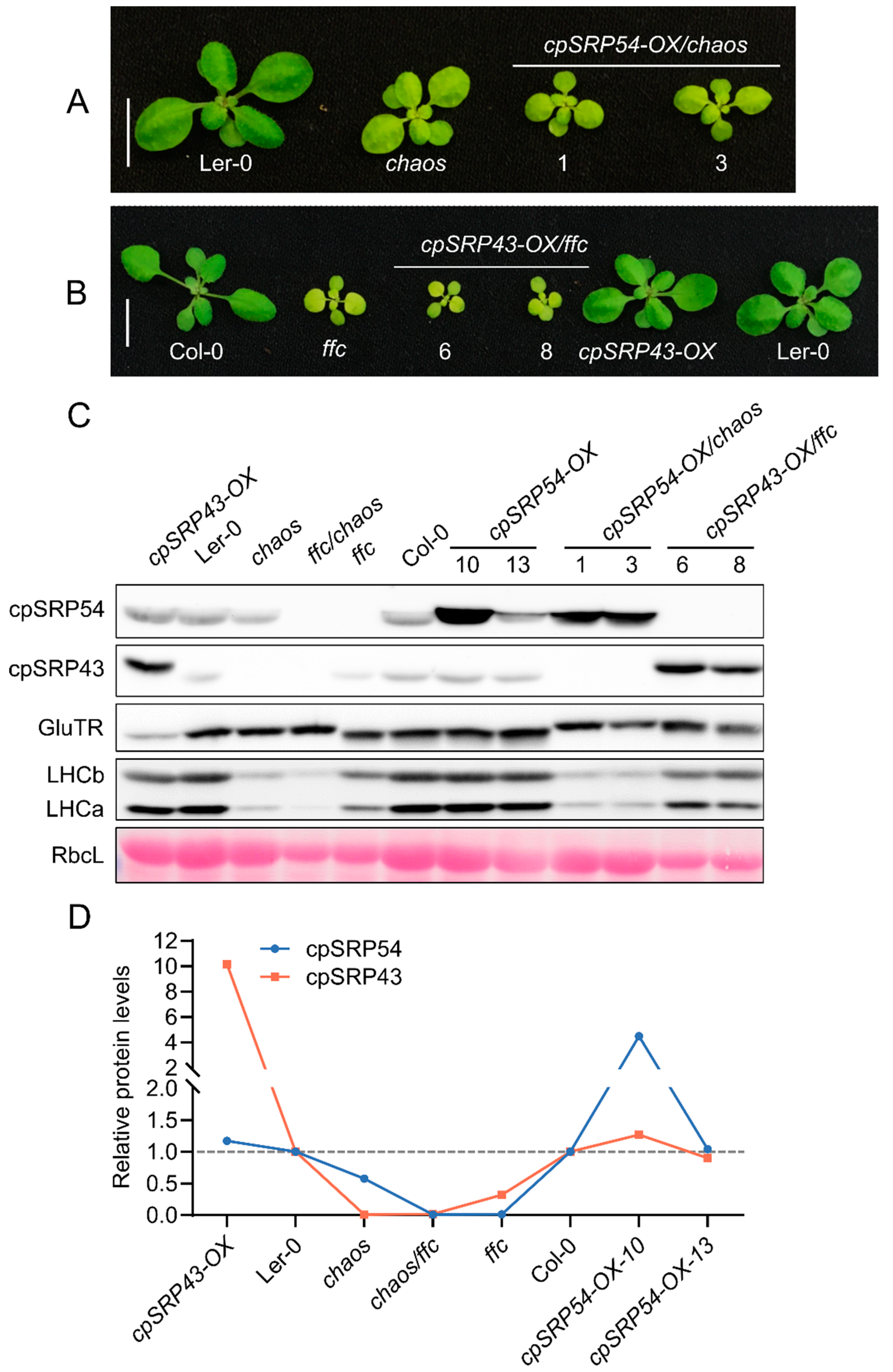 Preprints 158633 g002