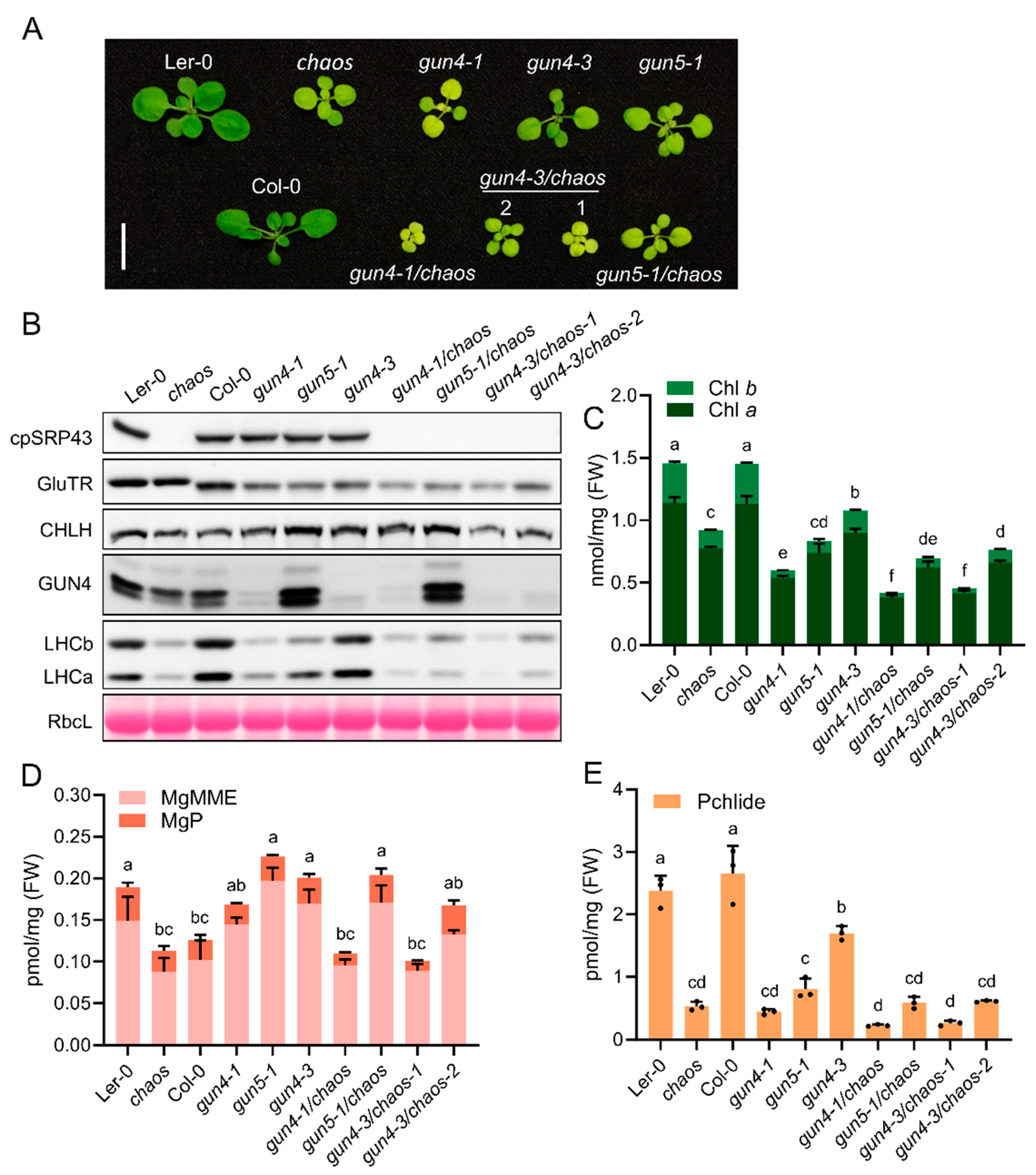 Preprints 158633 g004