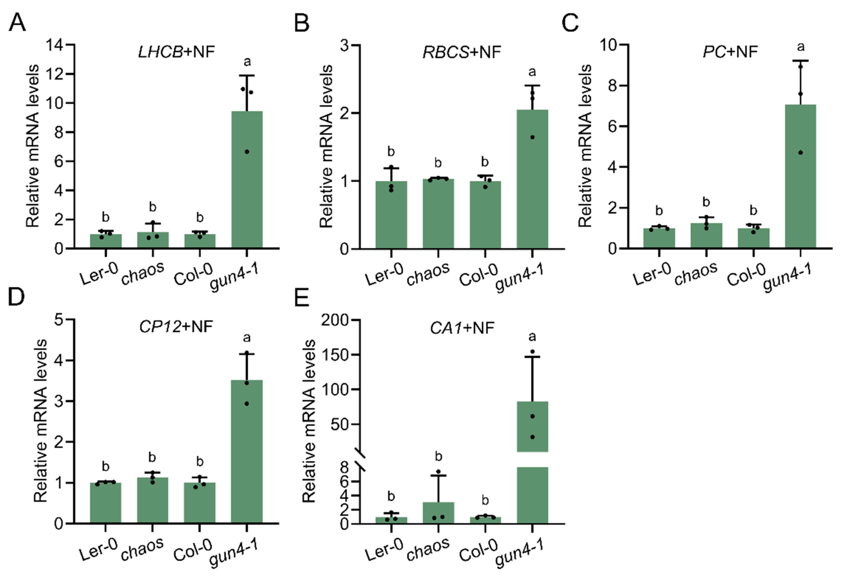Preprints 158633 g006