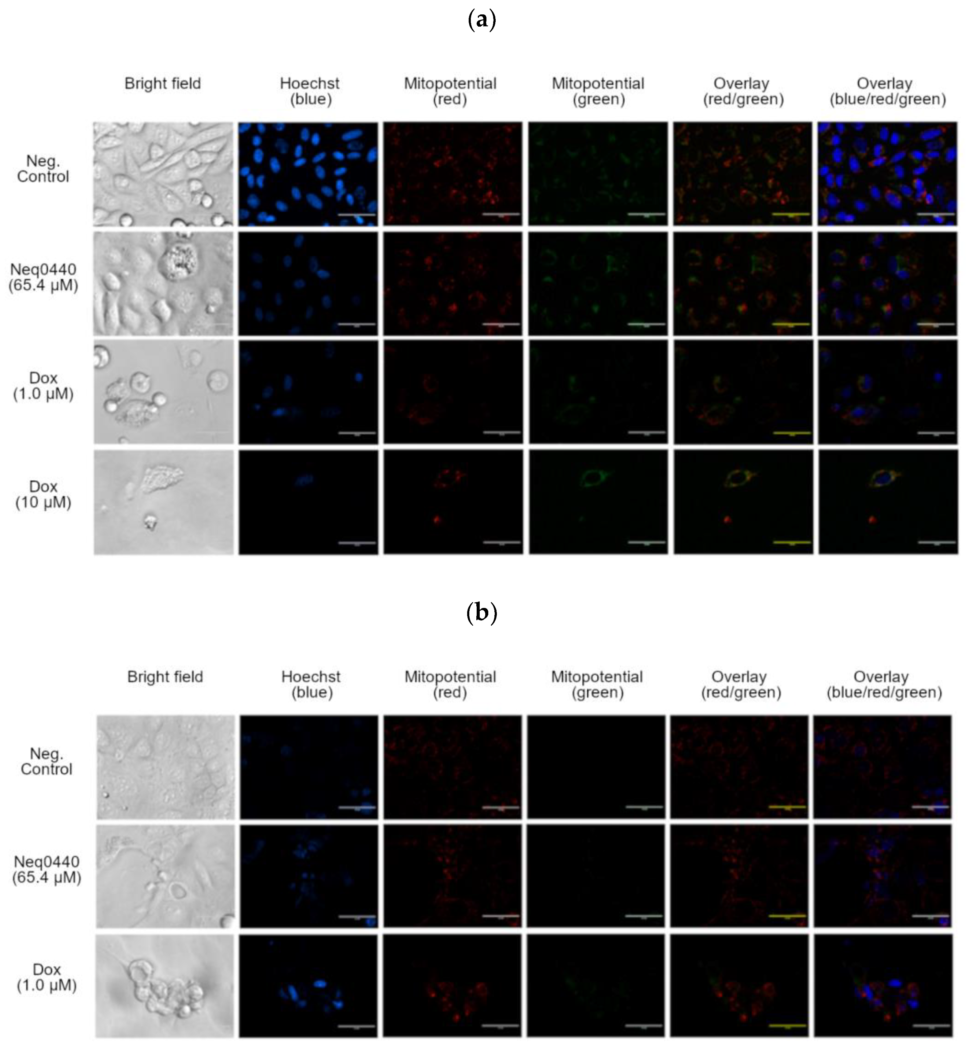 Preprints 170970 g002
