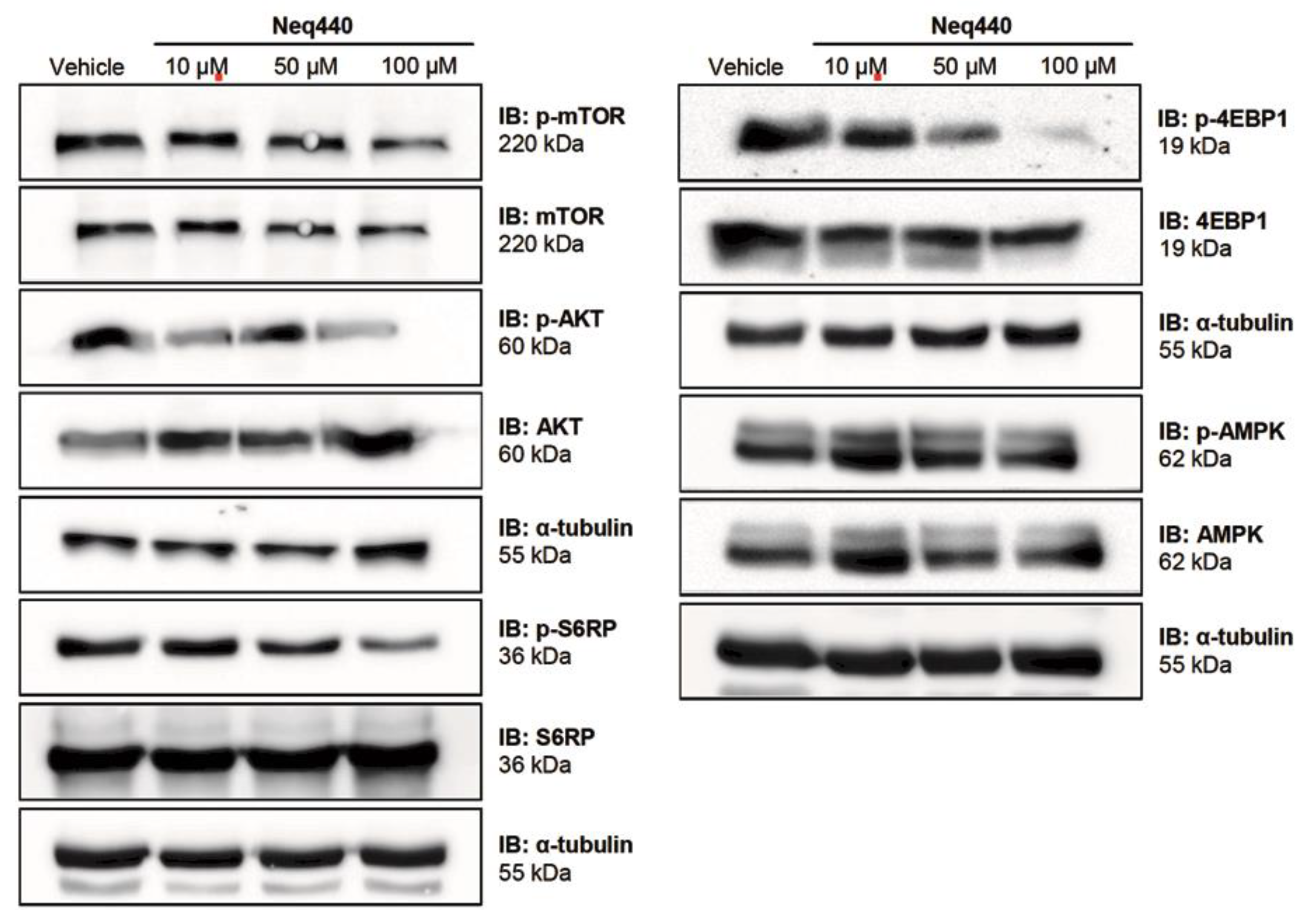 Preprints 170970 g003