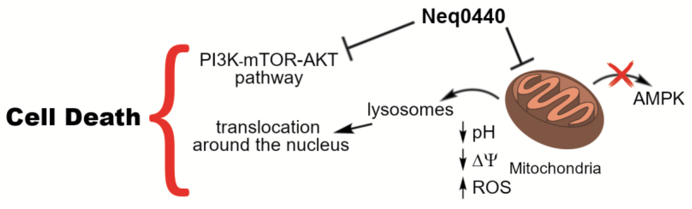 Preprints 170970 g006