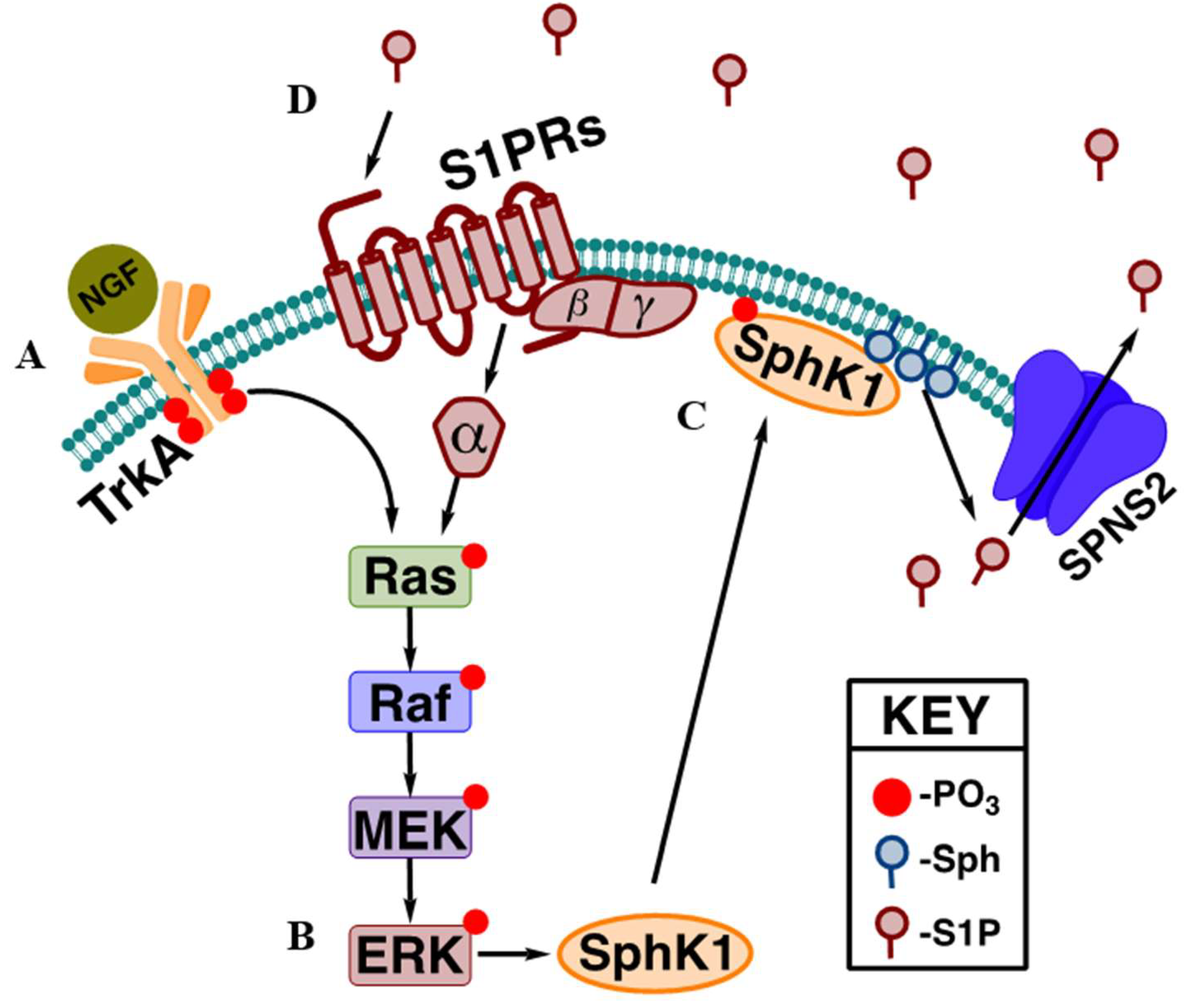 Preprints 143090 g001