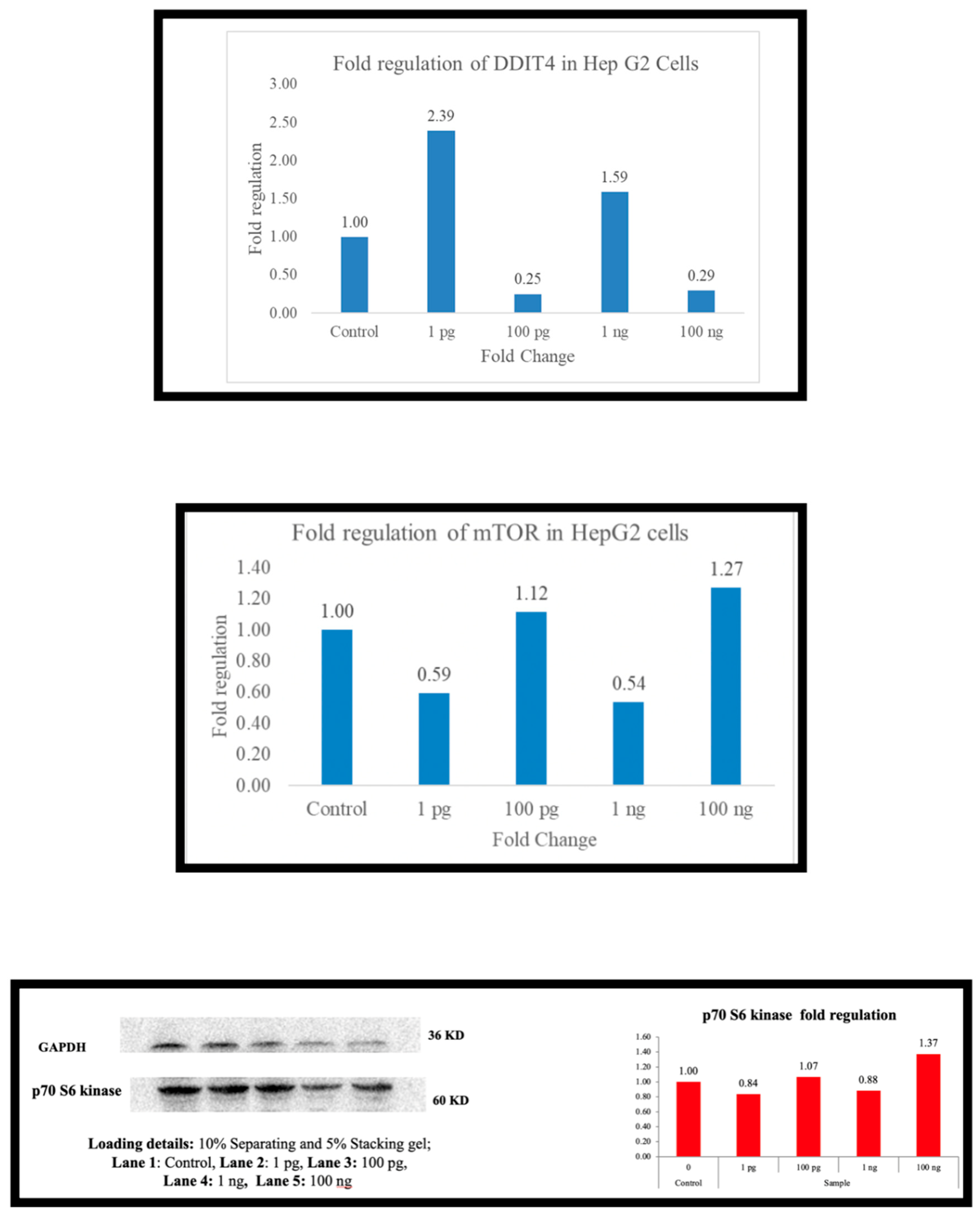 Preprints 156351 g002