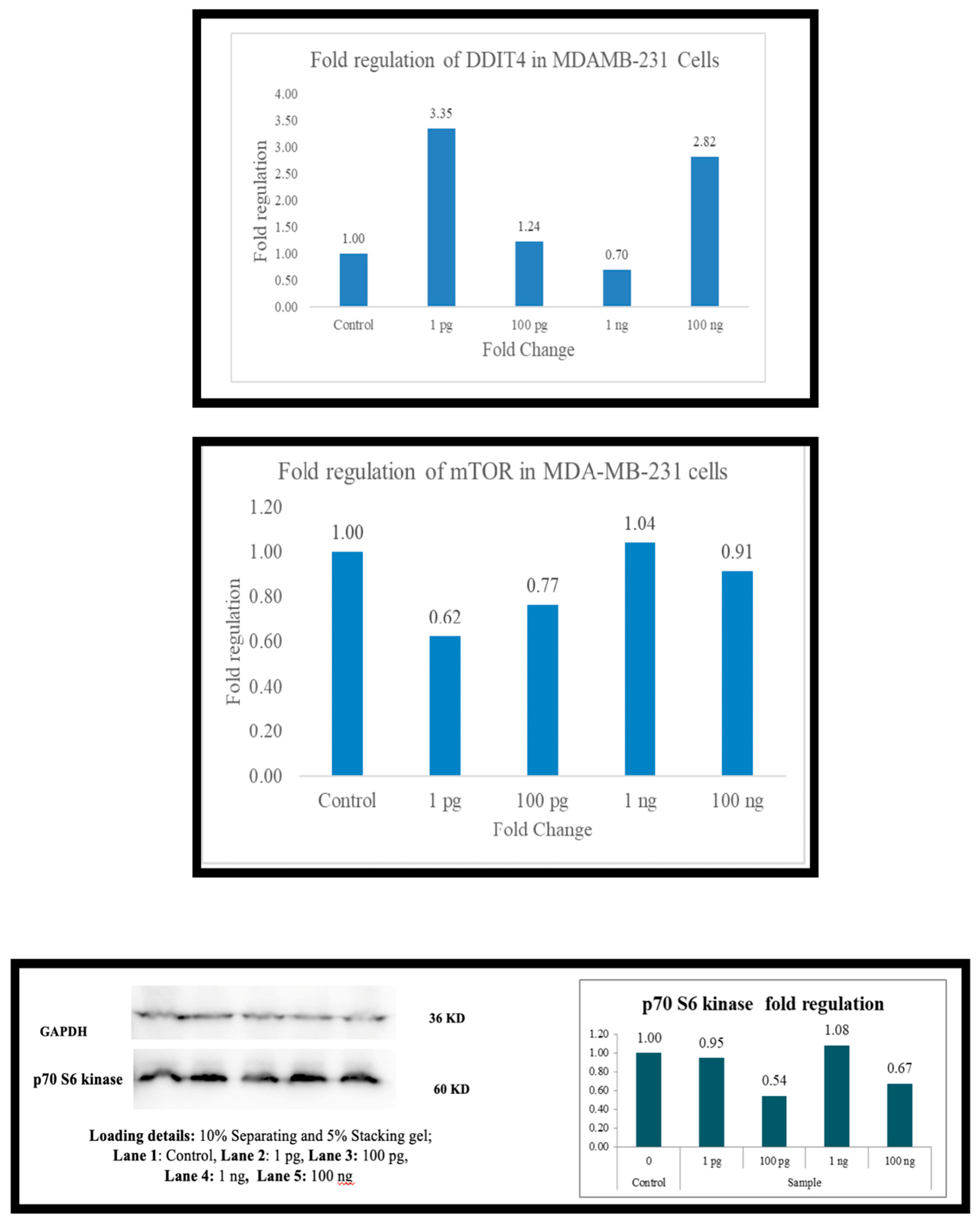 Preprints 156351 g003