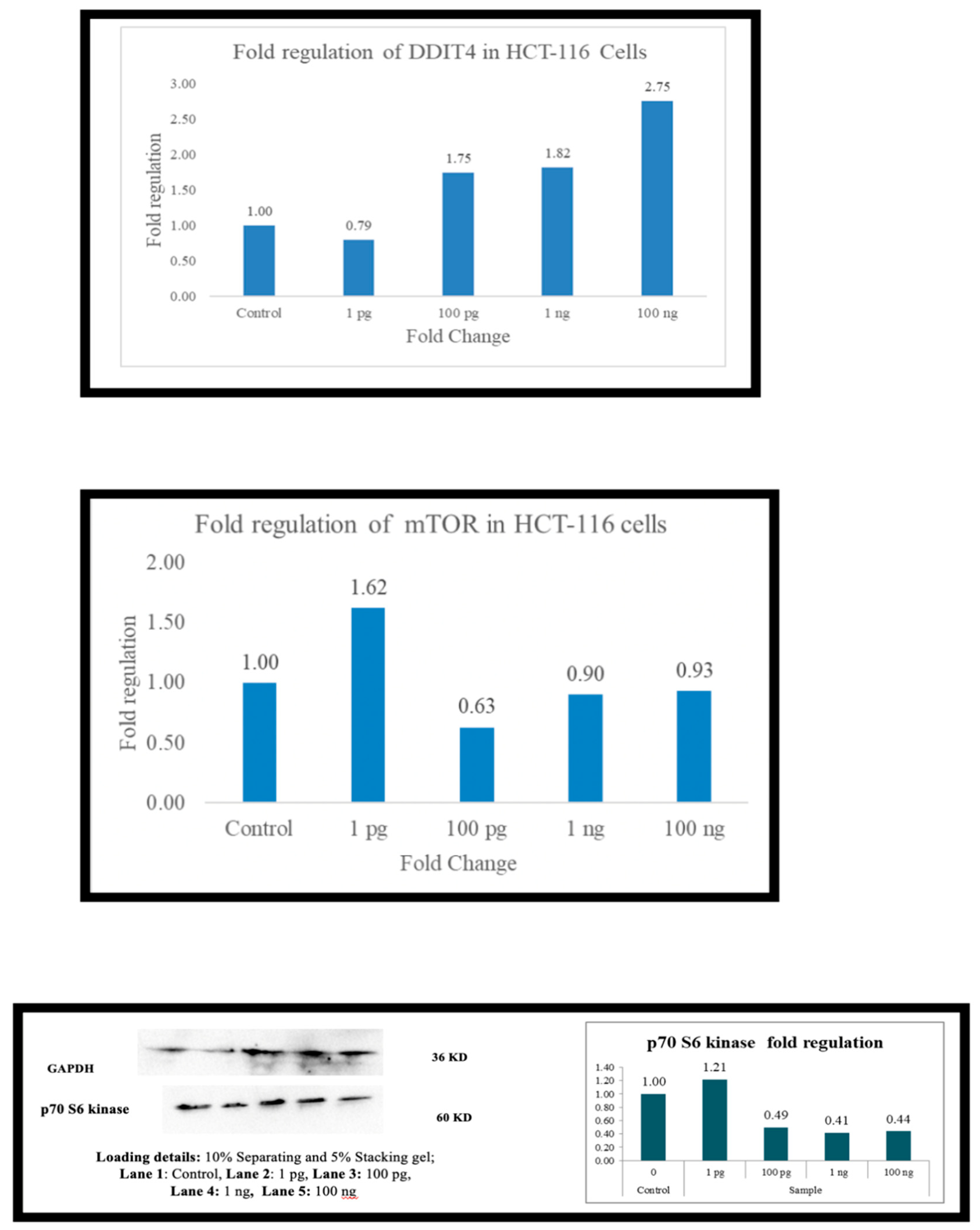 Preprints 156351 g004