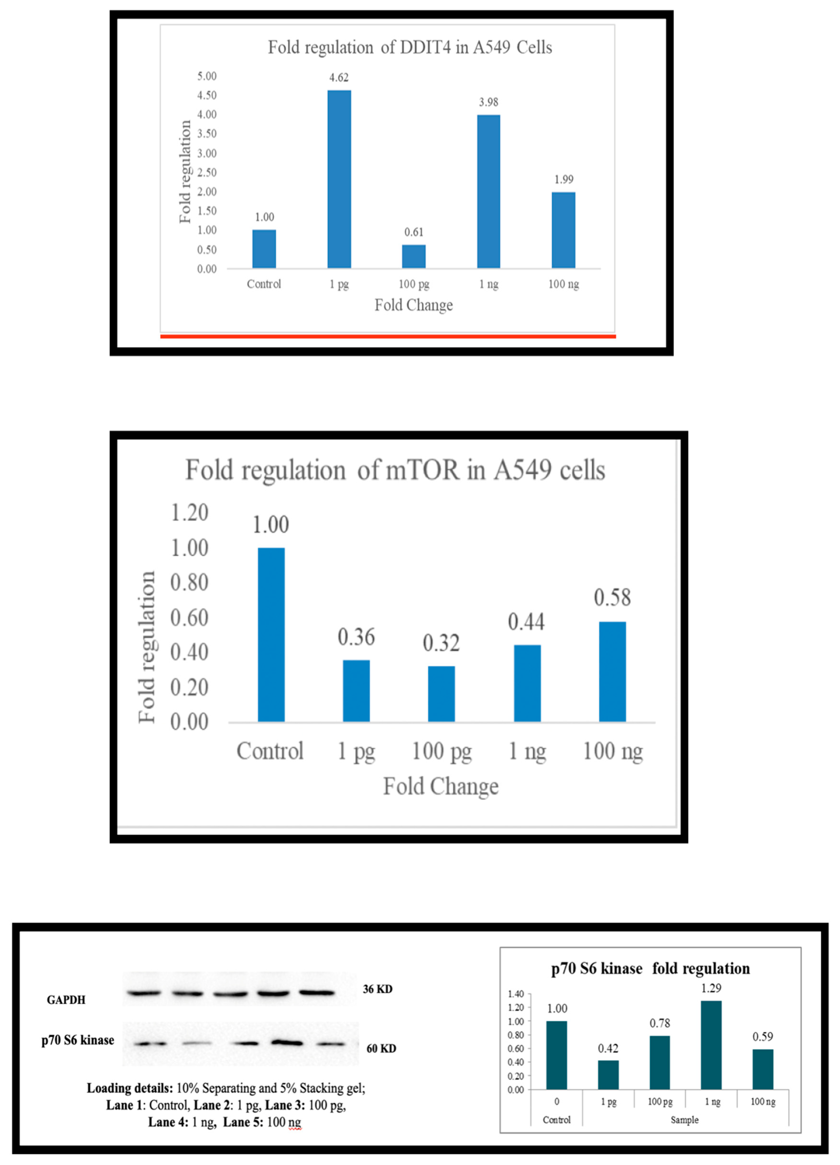 Preprints 156351 g005
