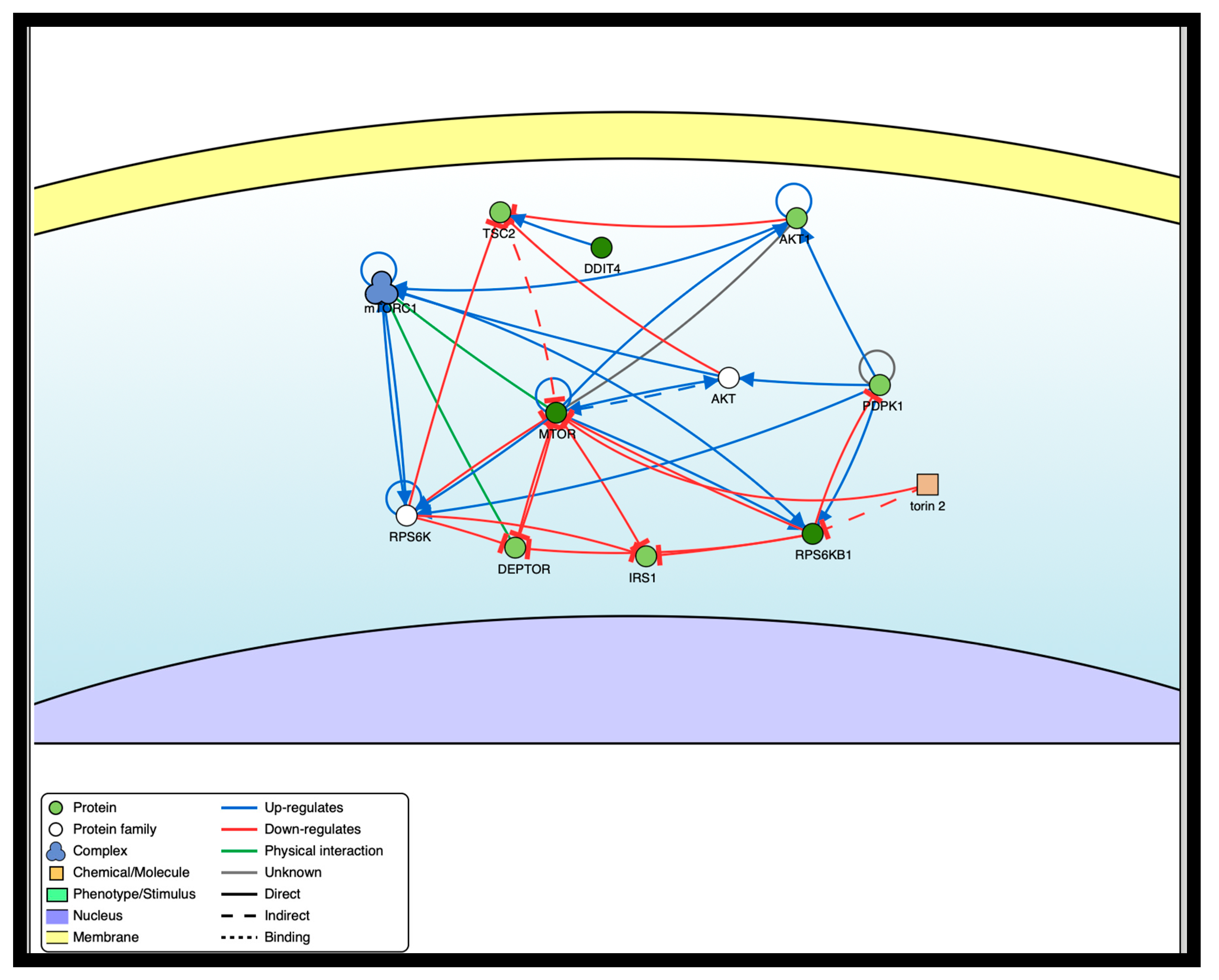 Preprints 156351 g007