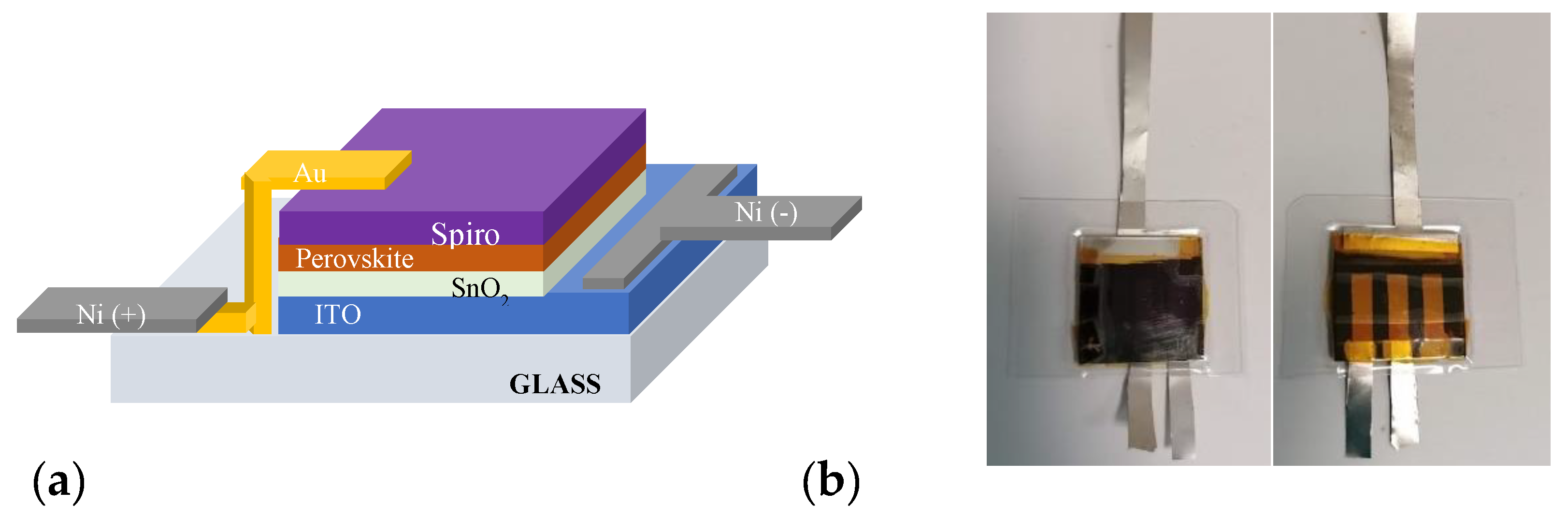 Preprints 201403 g001
