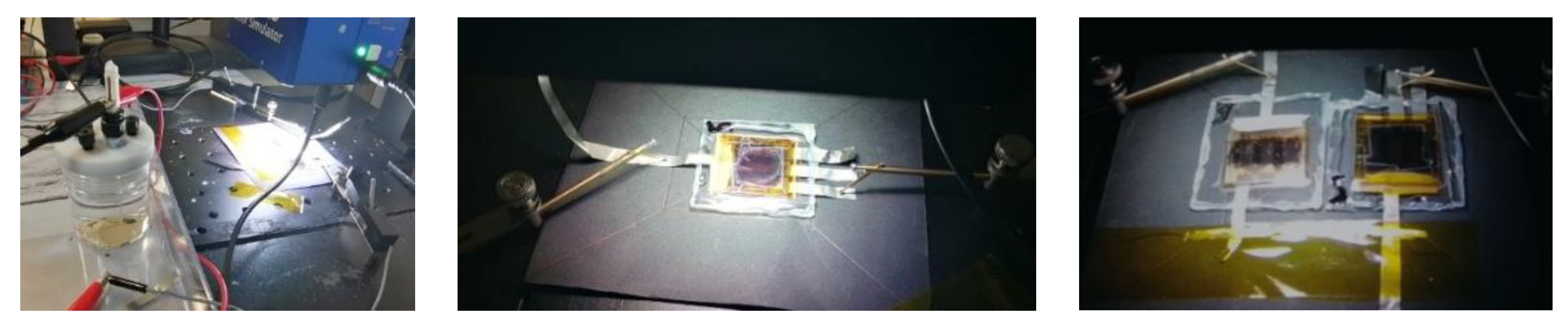 Preprints 201403 g007