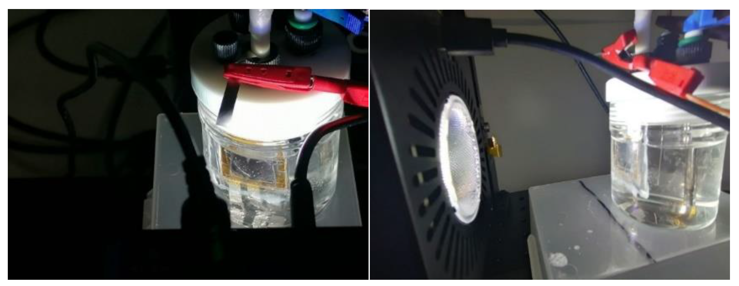 Preprints 201403 g010