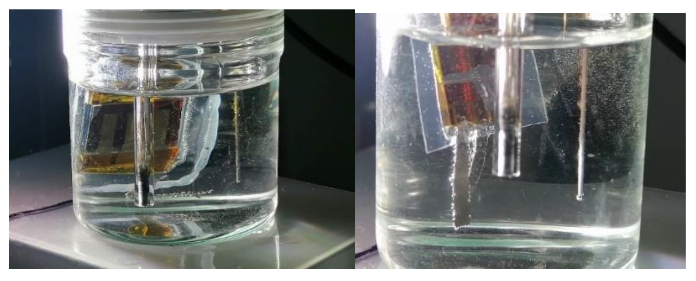 Preprints 201403 g011